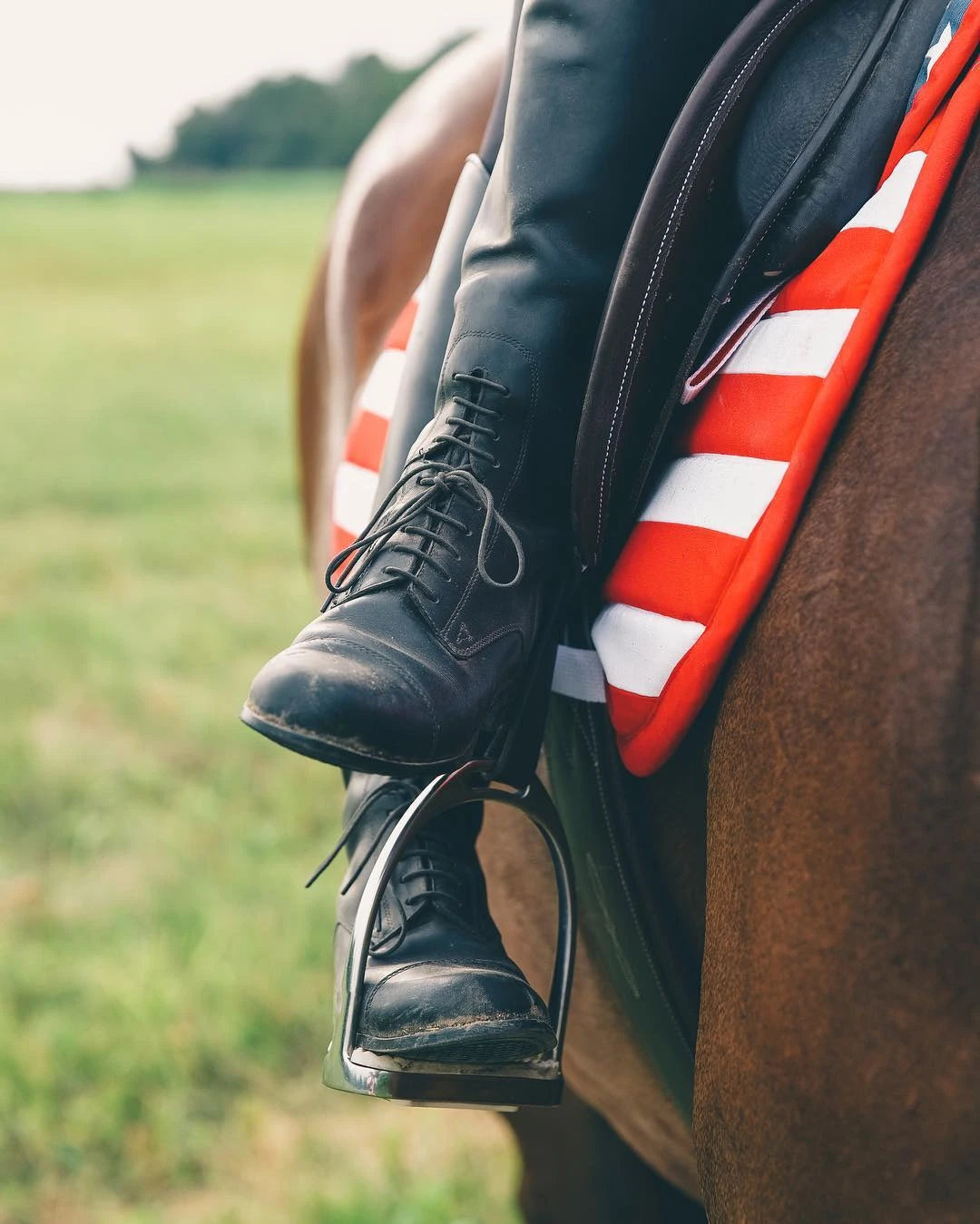U.S. American Flag All Purpose Saddle Pad Customer Photo