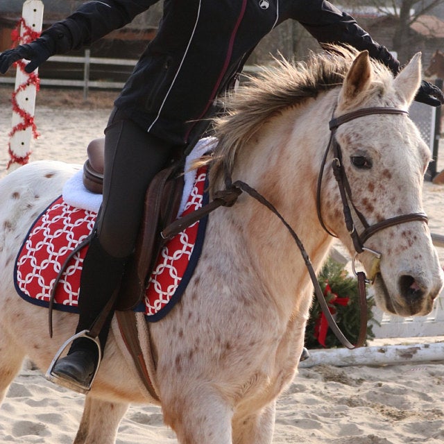 Red Squares Print All Purpose Saddle Pad on an Appaloosa Pony