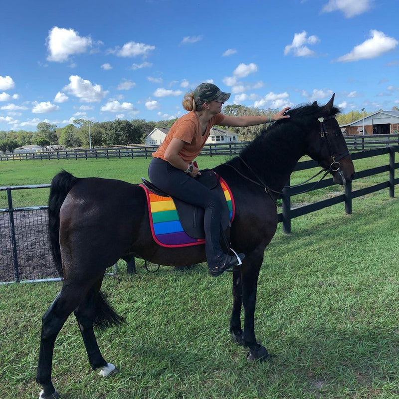 Rainbow Dressage Saddle Pad on a Saddle Seat Horse
