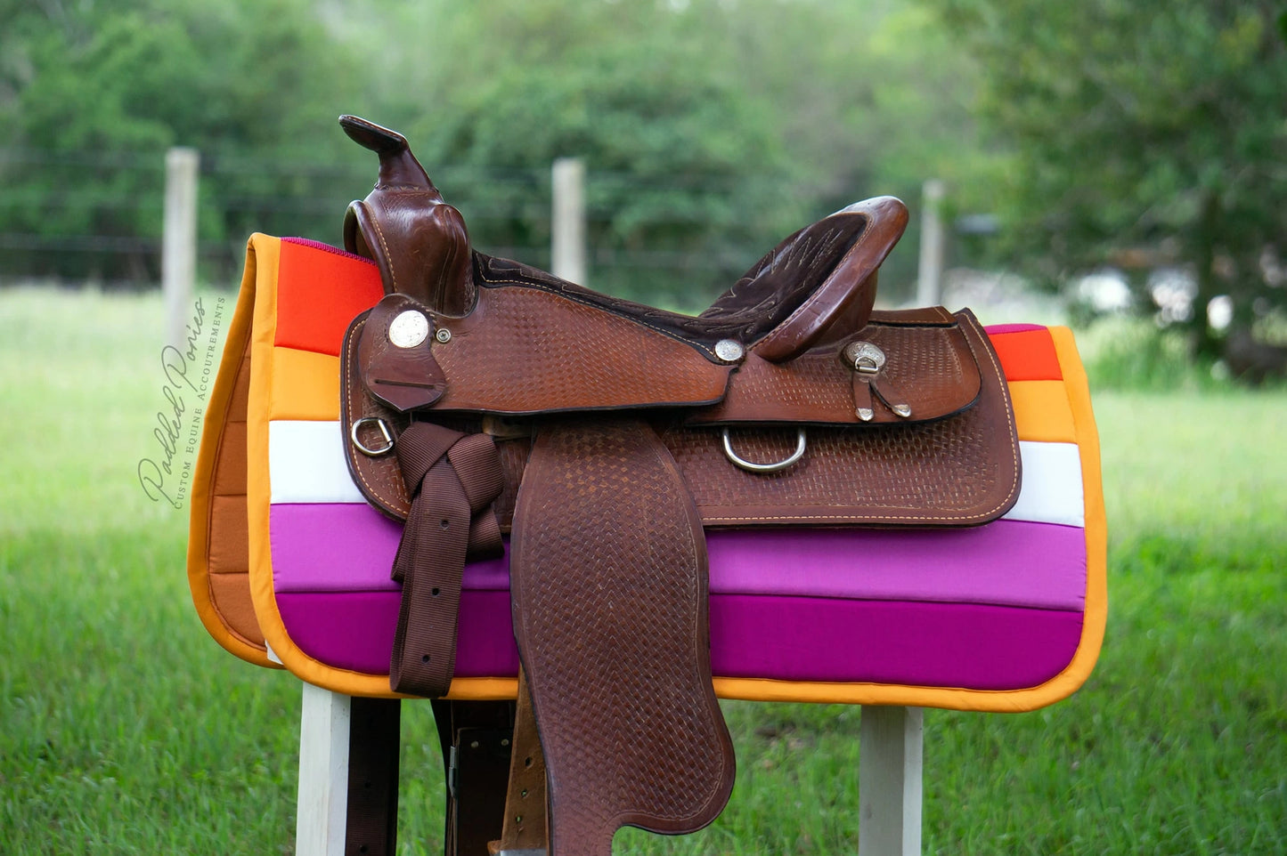 Custom Lesbian LGBTQ+ Pride Flag Saddle Pad