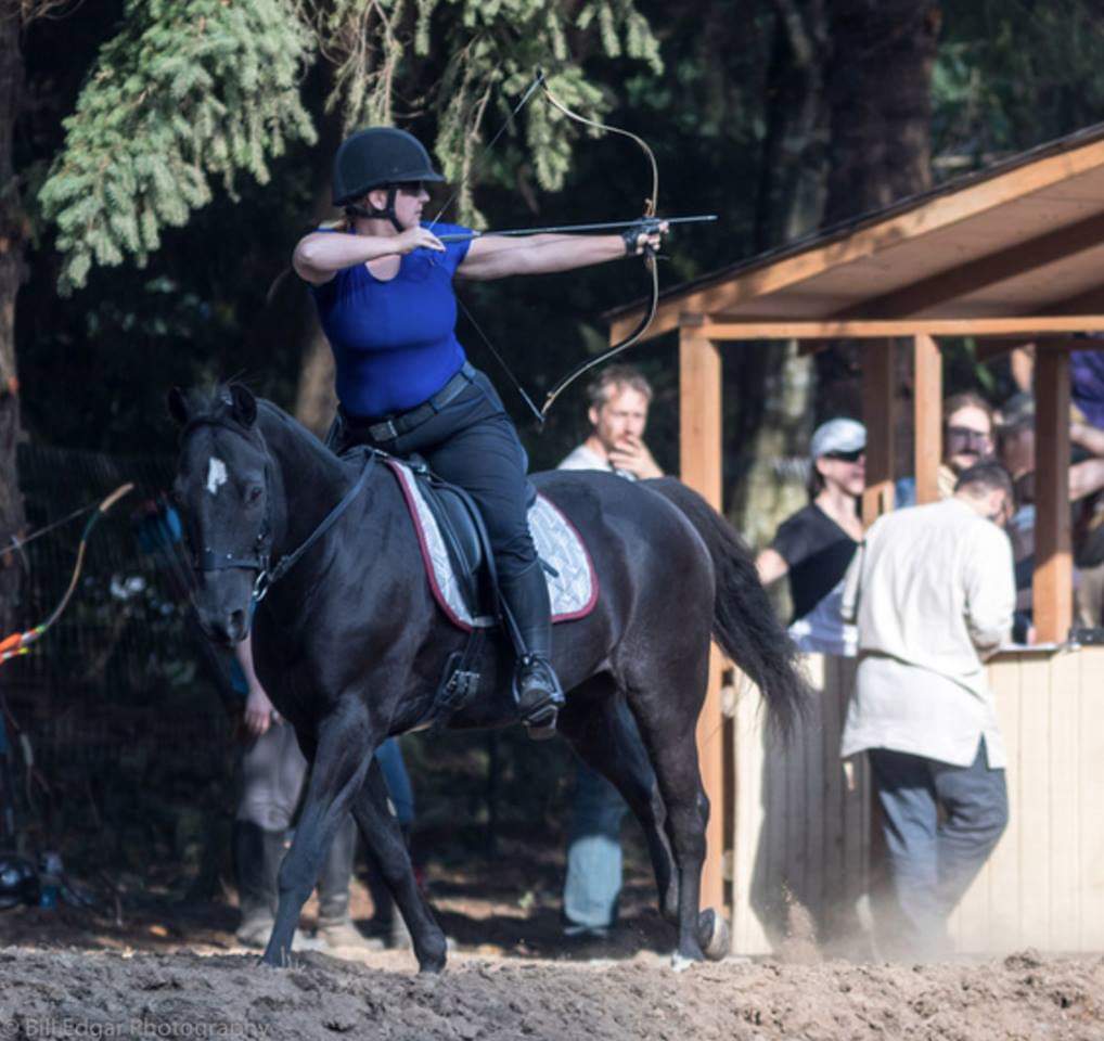 Gray Arrows Print Dressage Saddle Pad Mounted Archery Customer Photo