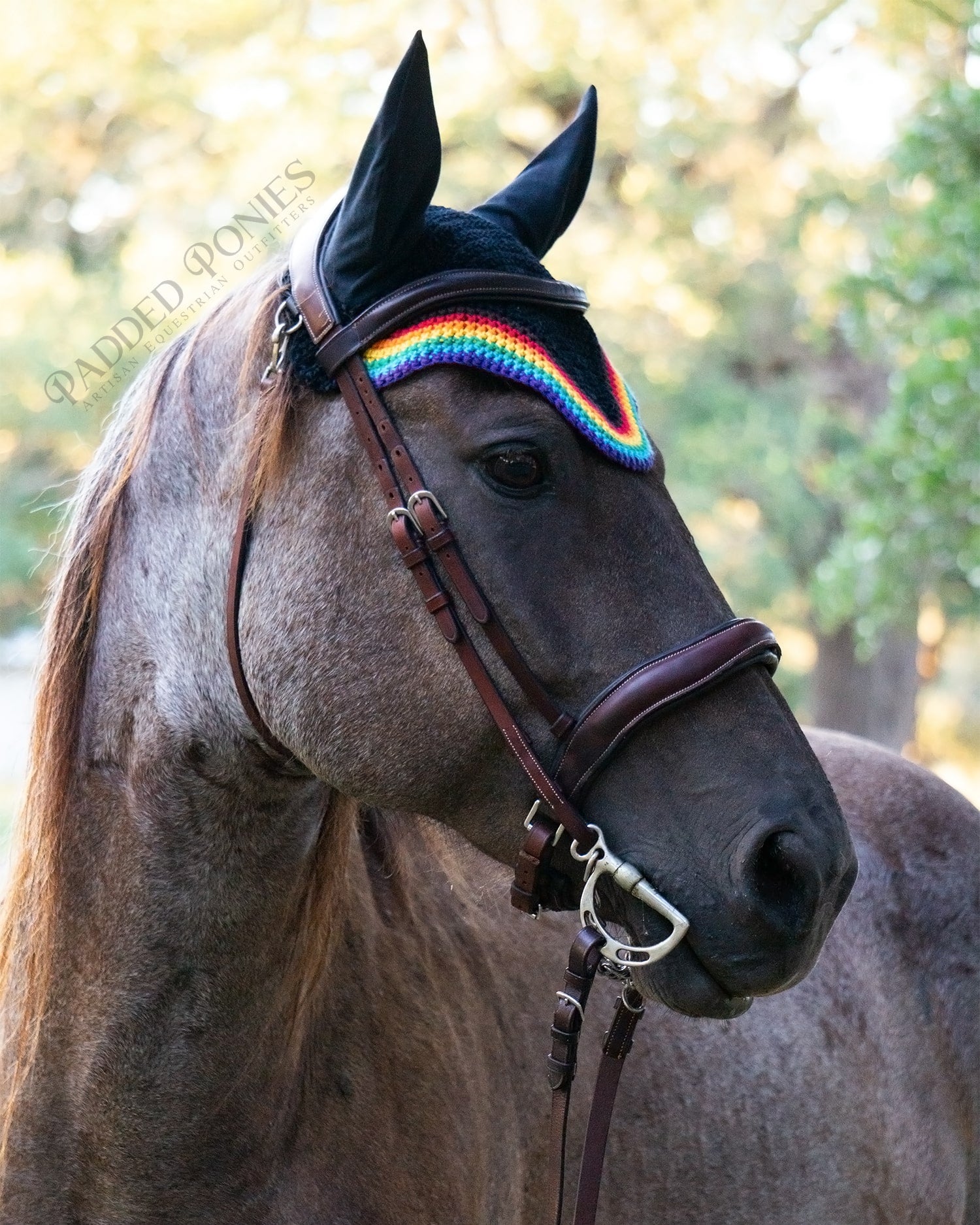 Black LGBTQ+ Gay Rainbow Flag Fly Veil Bonnet