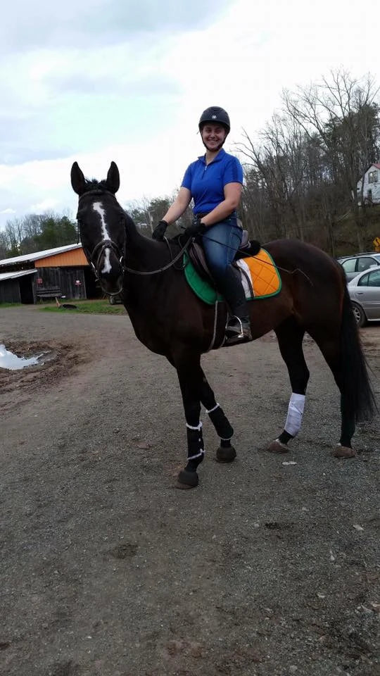Irish Ireland Flag All Purpose Saddle Pad Customer Photo