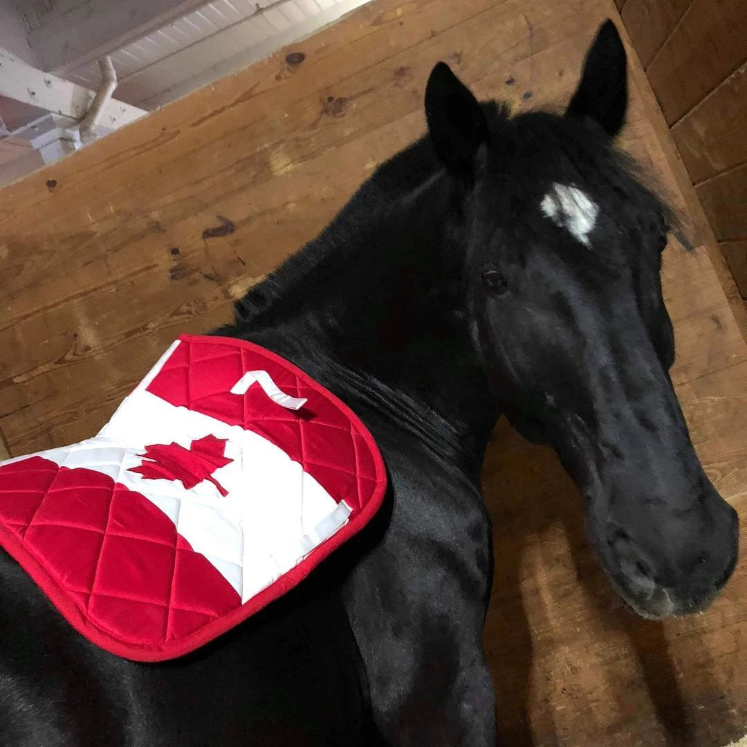 Canada Canadian Flag Dressage Saddle Pad Customer Photo