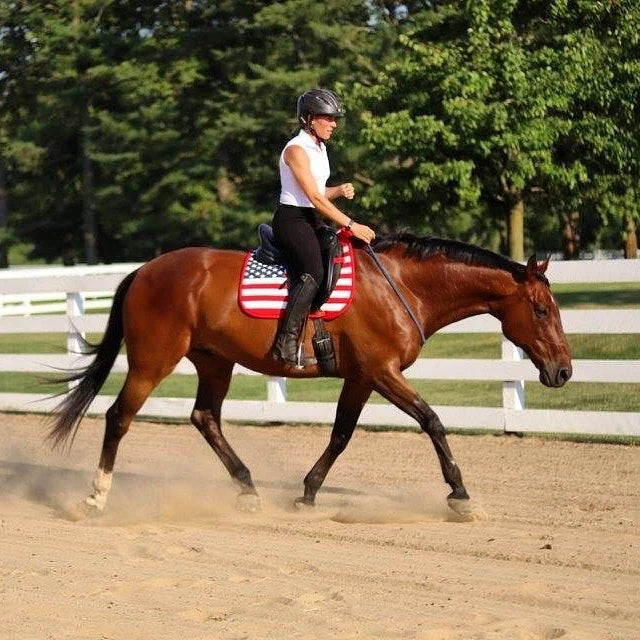 U.S. American Flag Dressage Saddle Pad Customer Photo
