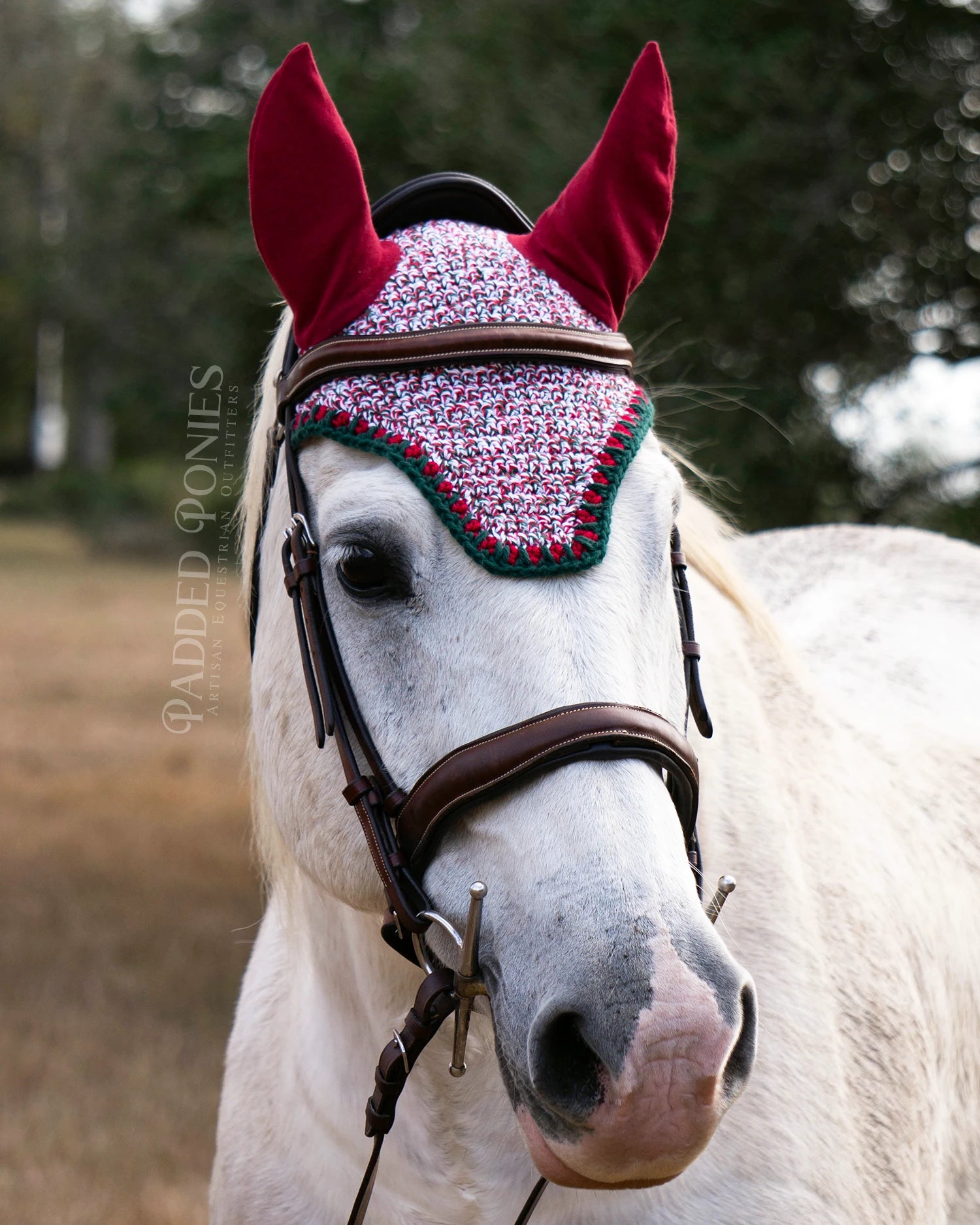 Red and Green Christmas Cozy Knitted Sweater Fly Veil Bonnet