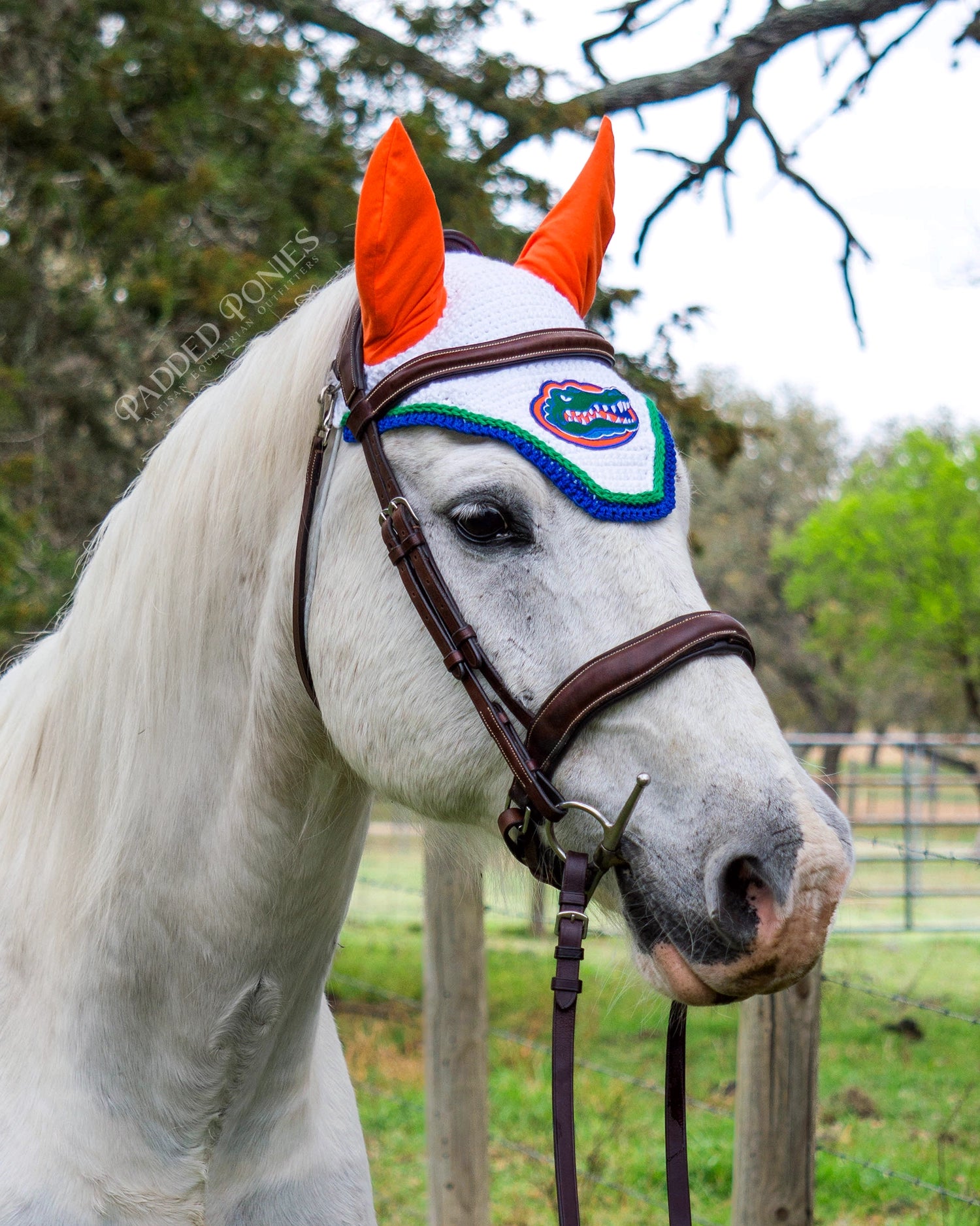 White, Green, Orange, and Blue University of Florida Gators Patch Horse Fly Veil Bonnet