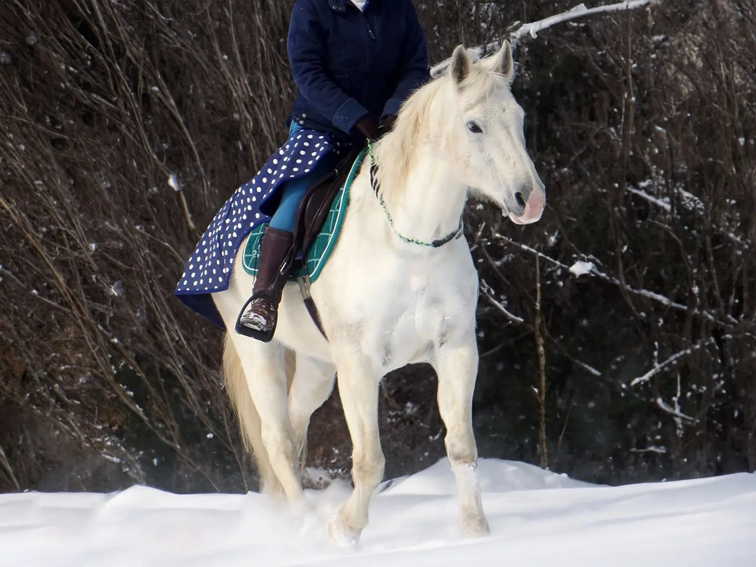 Customer's Gray Horse Riding in the Snow With a Polka Dot Quarter Sheet