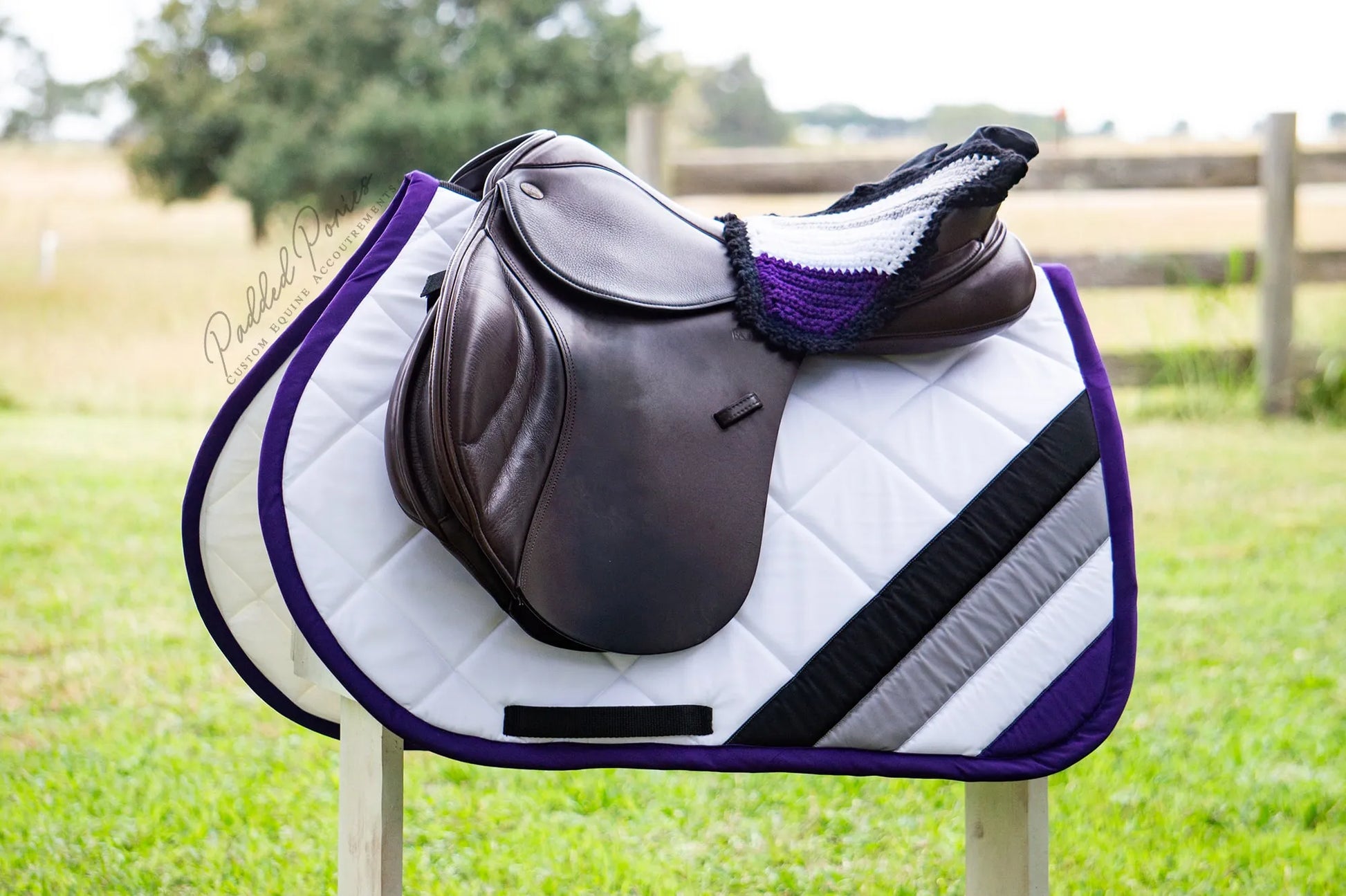 LGBTQ+ Asexual Flag Fly Veil Bonnet with Matching All Purpose Saddle Pad