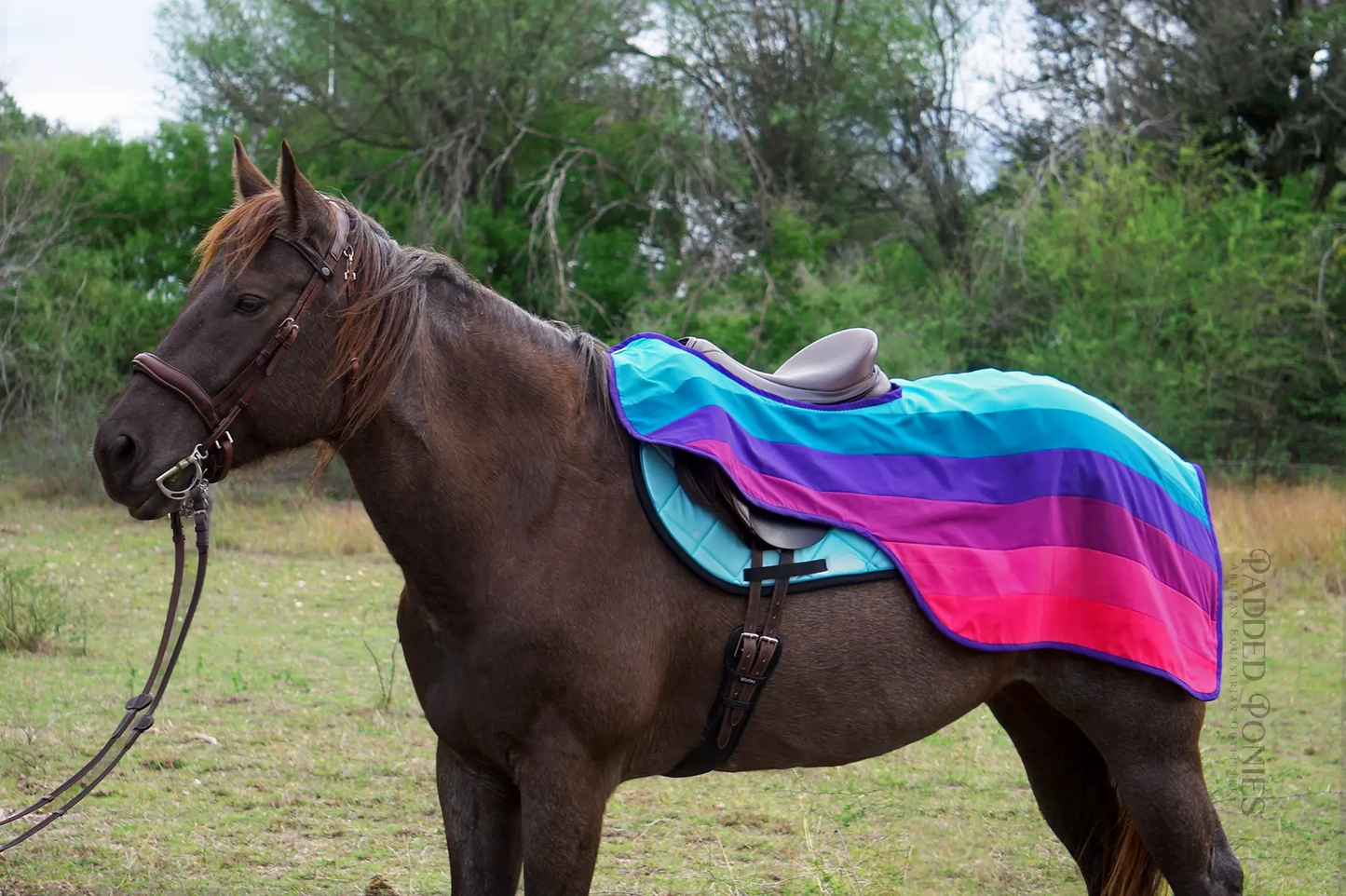 Ambigender LGBTQ+ Flag Fleece Lined Quarter Half Sheet