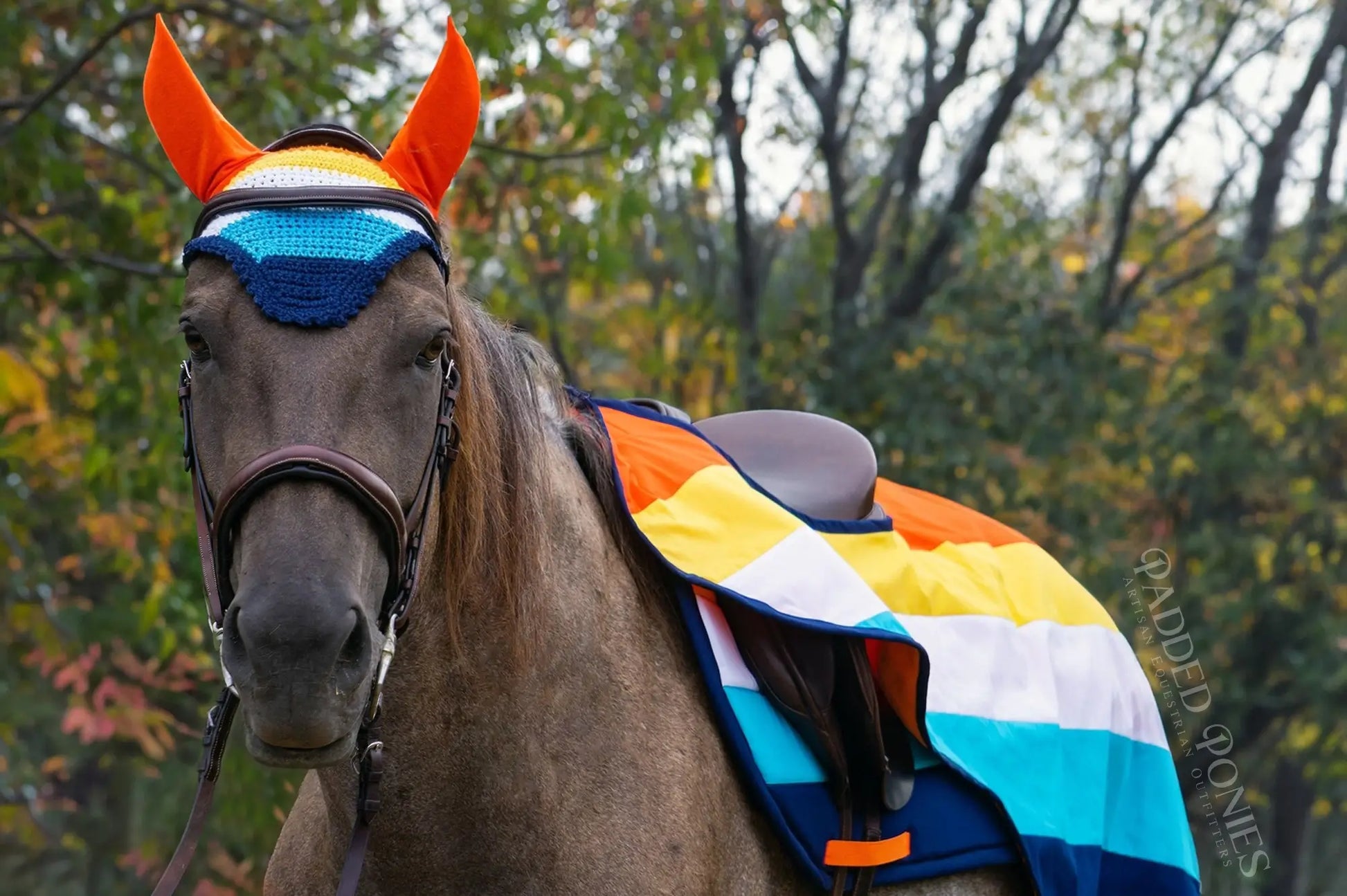 LGBTQ+ Aromantic Asexual Flag Fly Veil Bonnet with Matching Saddle Pad and Quarter Sheet