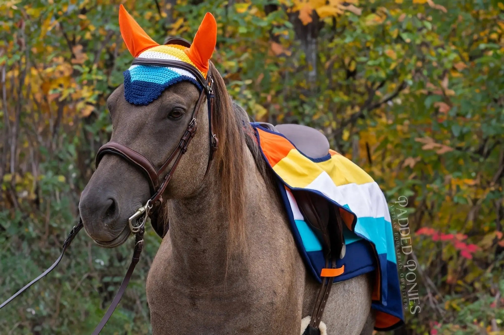 LGBTQ+ Aromantic Asexual Flag Fly Veil Bonnet with Matching Quarter Sheet and Saddle Pad