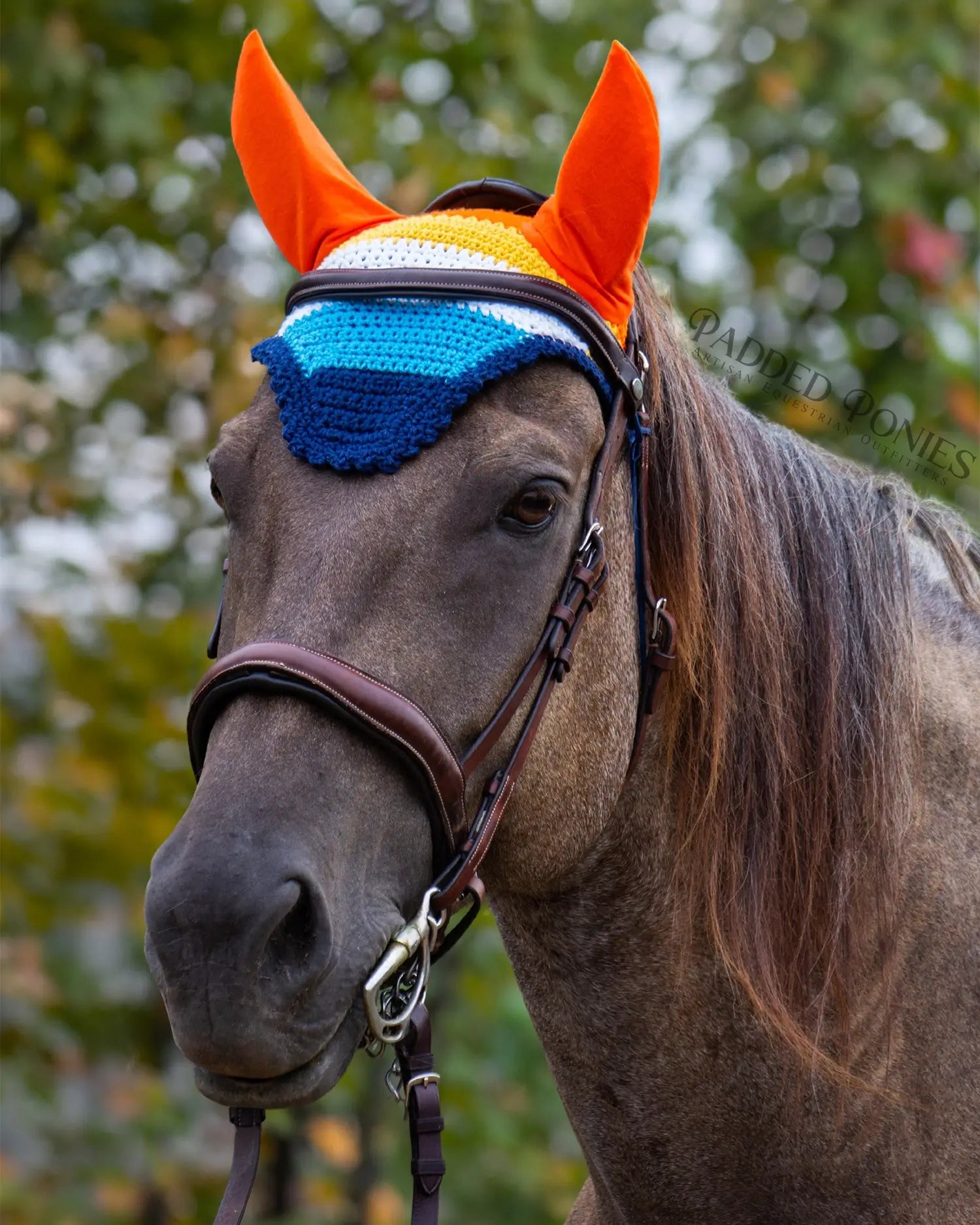 LGBTQ+ Aromantic Asexual Flag Fly Veil Bonnet