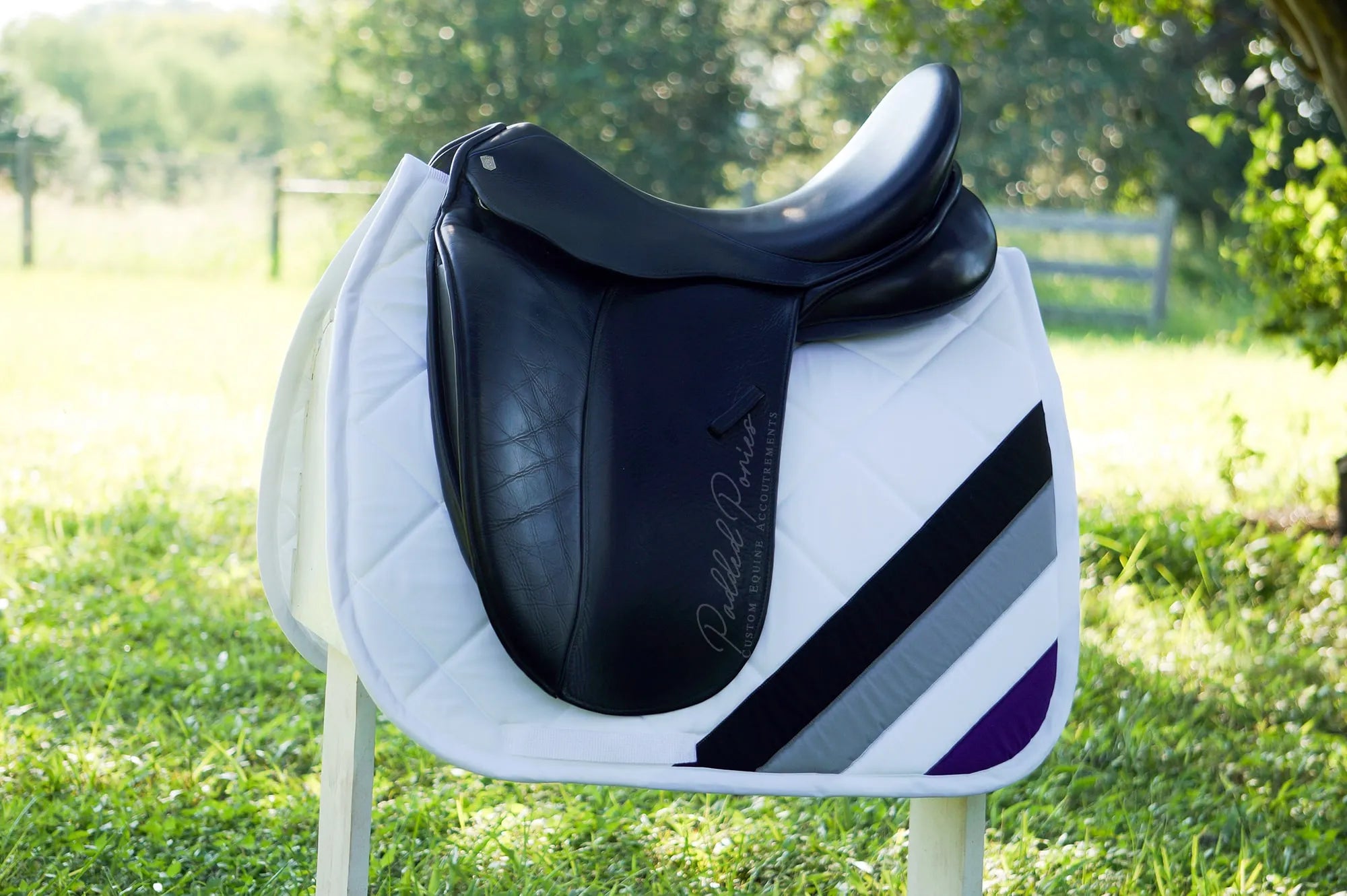 LGBTQ+ Asexual Flag Corner White Dressage Saddle Pad