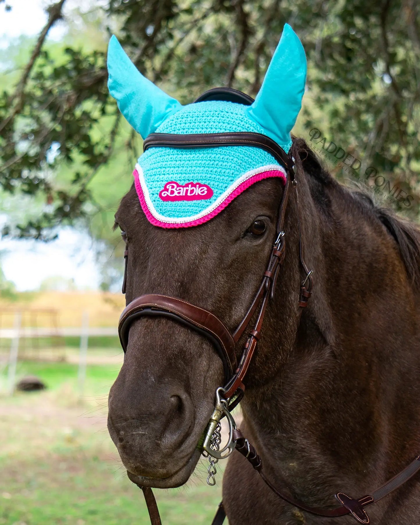Aqua Blue and Hot Pink Barbie Patch Fly Veil Bonnet with Rhinestones