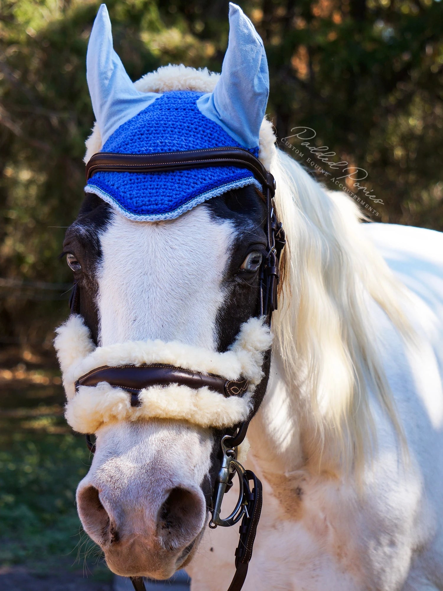 Royal Blue Rhinestone Solid Color Fly Veil Bonnet