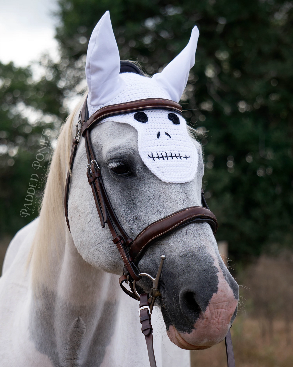 Skeleton Skull Face Halloween Costume Fly Veil Bonnet Horse Size