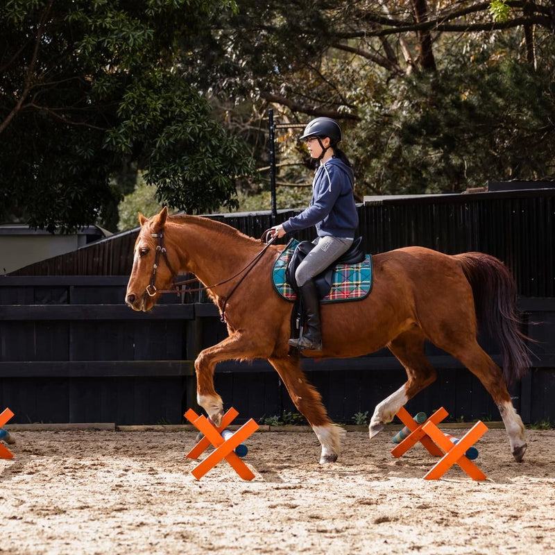 A Custom Teal Plaid All Purpose Saddle Pad on a Chestnut Horse