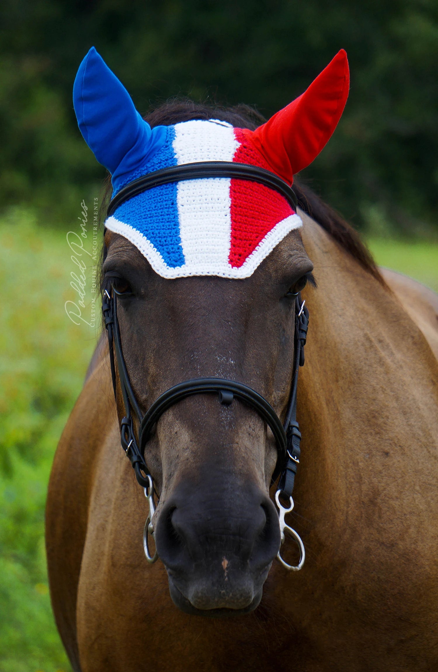 France French Flag Fly Veil Bonnet