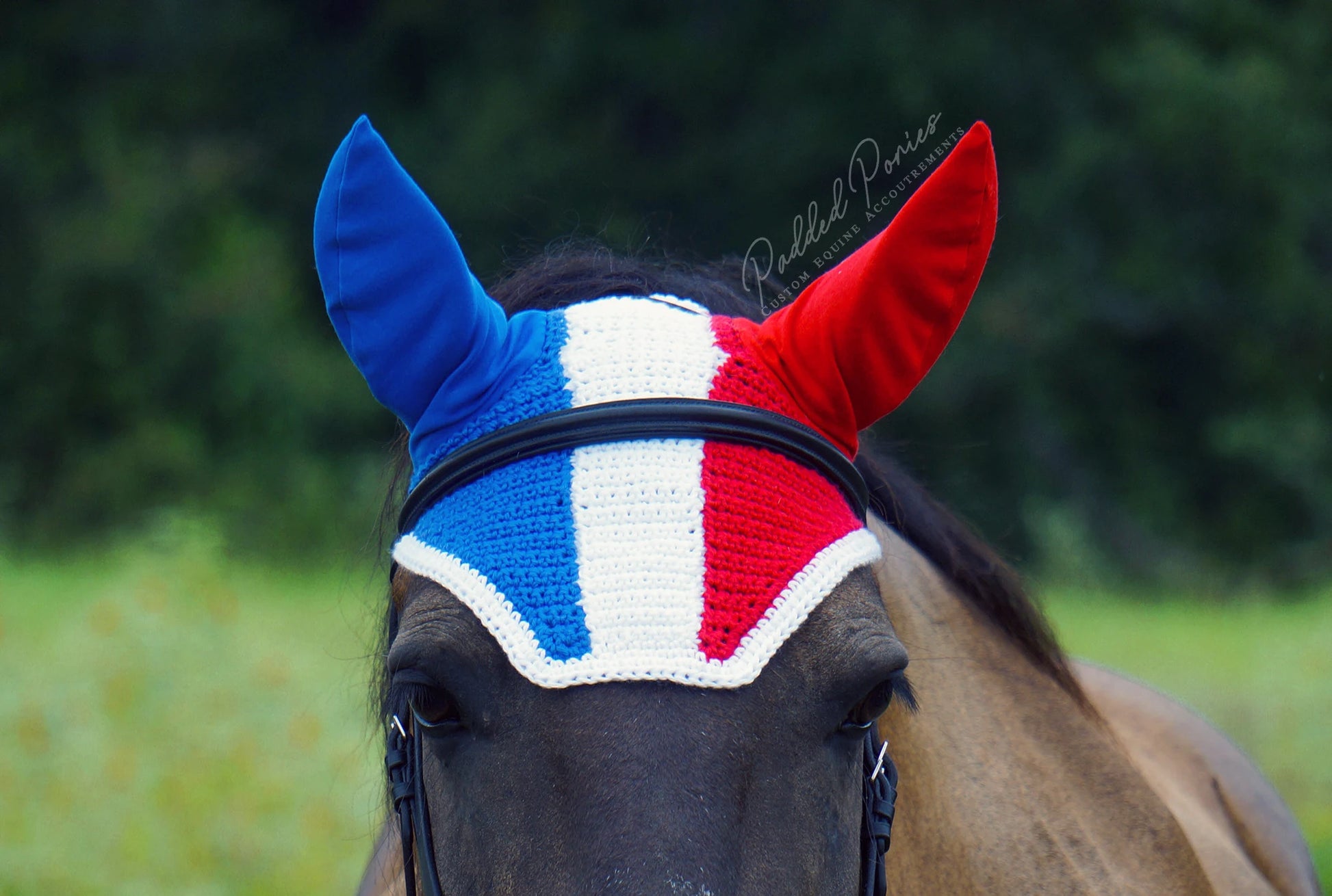 France French Flag Fly Bonnet Veil