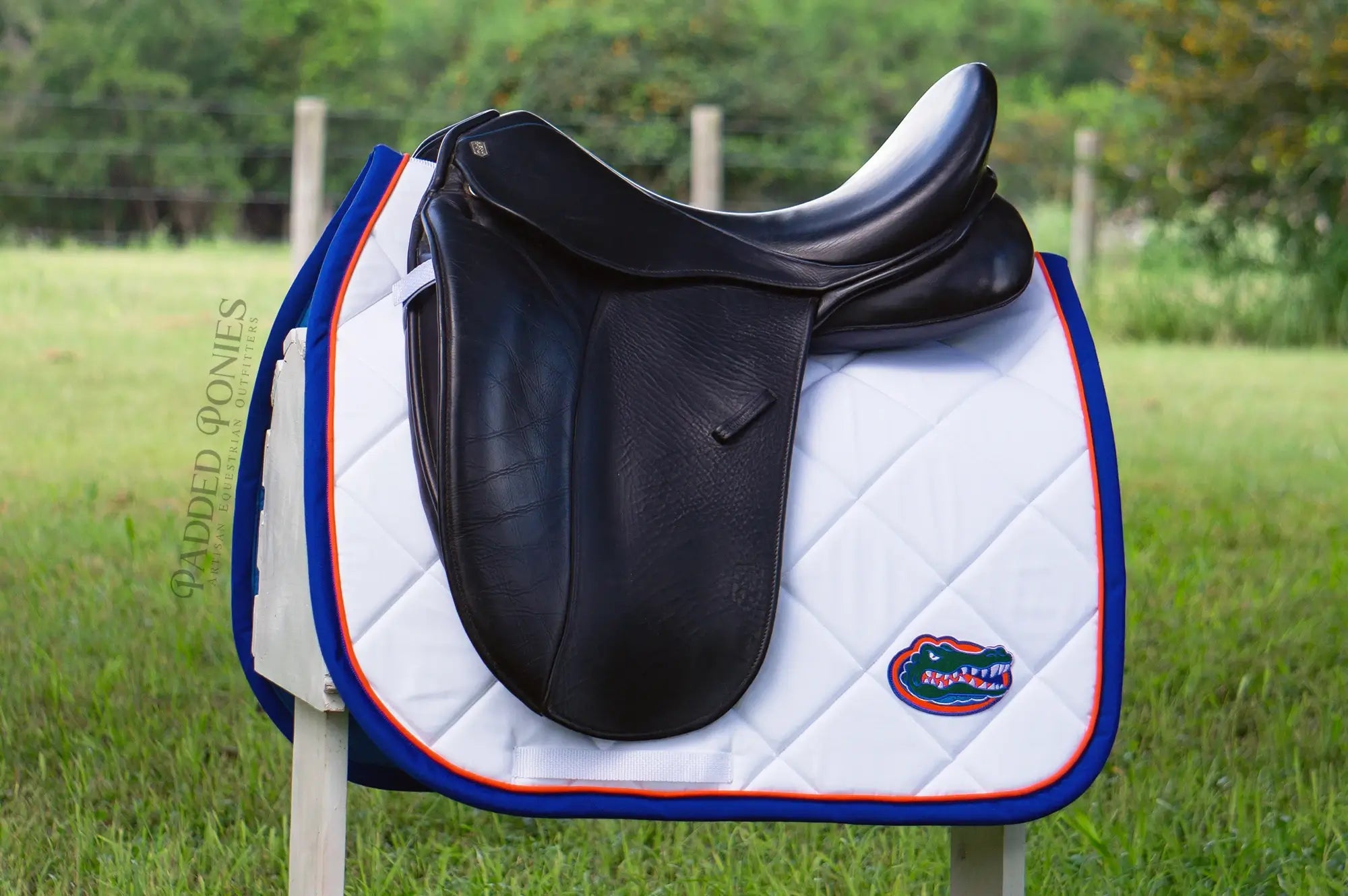 University of Florida Gators Patch White and Blue Dressage Saddle Pad