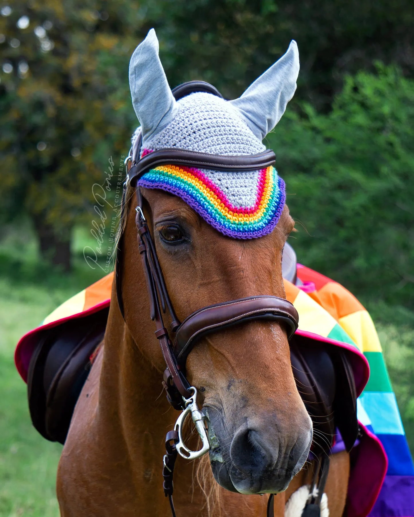LGBTQ+ Gay Pink Rainbow Flag Trim Gray Fly Veil Bonnet