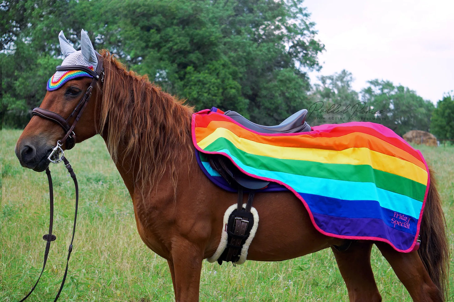 LGBTQ+ Gay Pink Rainbow Flag Trim Gray Fly Veil Bonnet and Matching Quarter Sheet