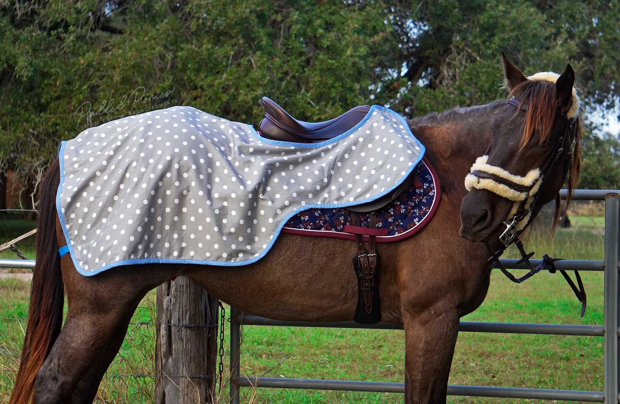 Gray and Baby Blue Polka Dot Quarter Sheet
