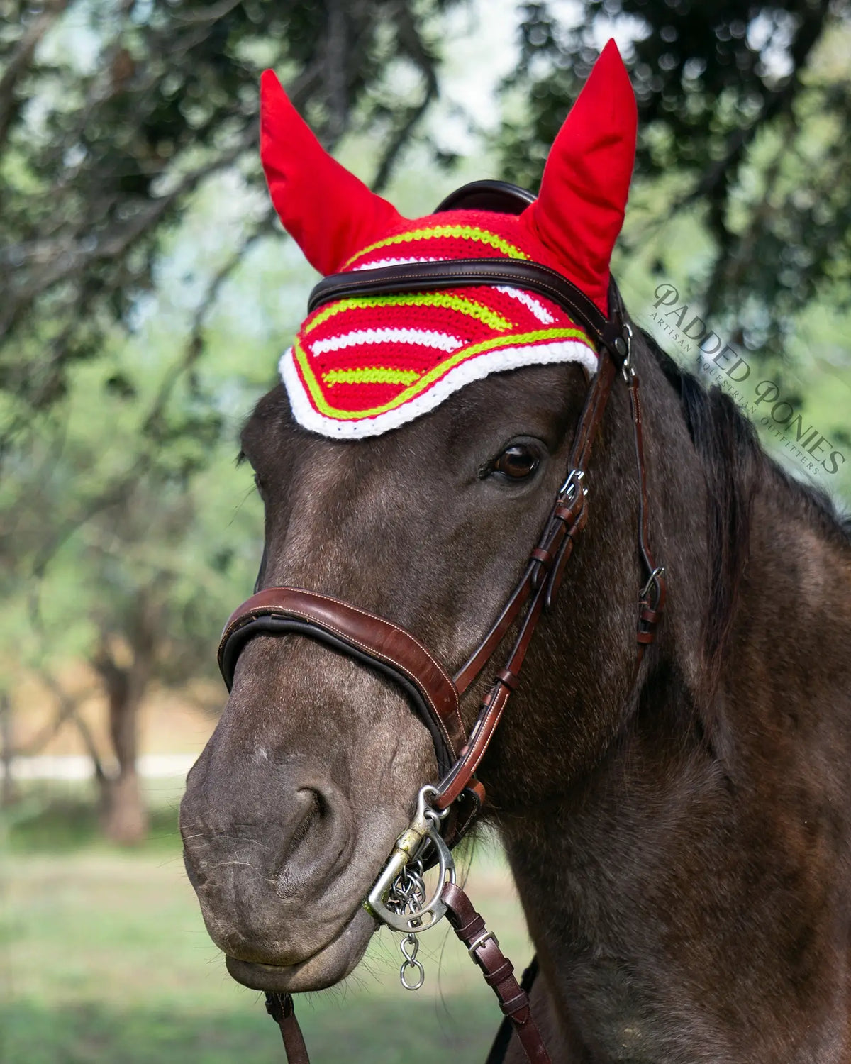 Lime Green and Red Christmas Stripe Fly Bonnet