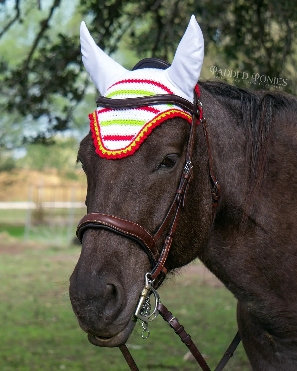 White, Lime Green, and Red Christmas Stripe Fly Bonnet