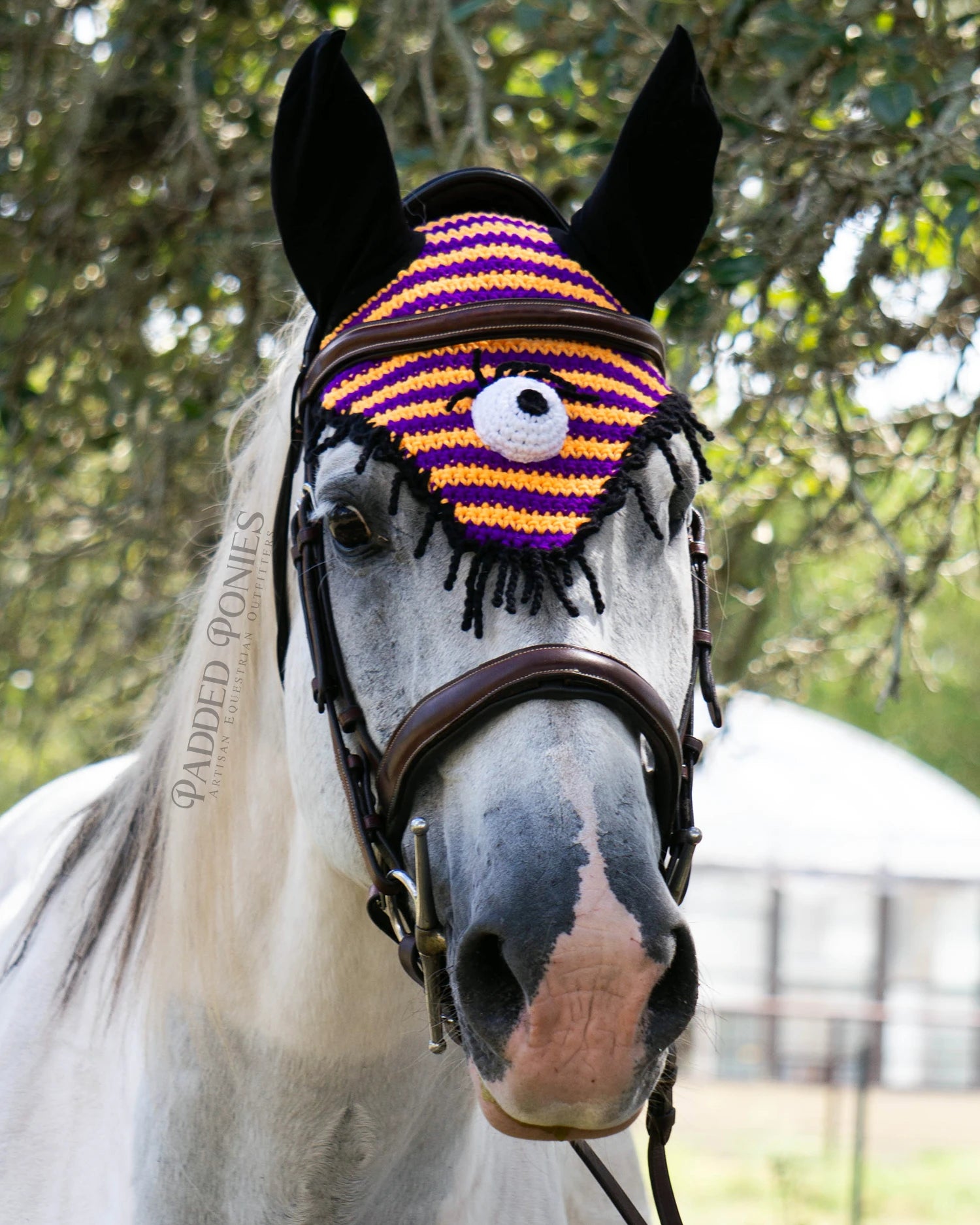 Orange And Purple Stripe Halloween Fly Veil Bonnet with Monster Eyeball