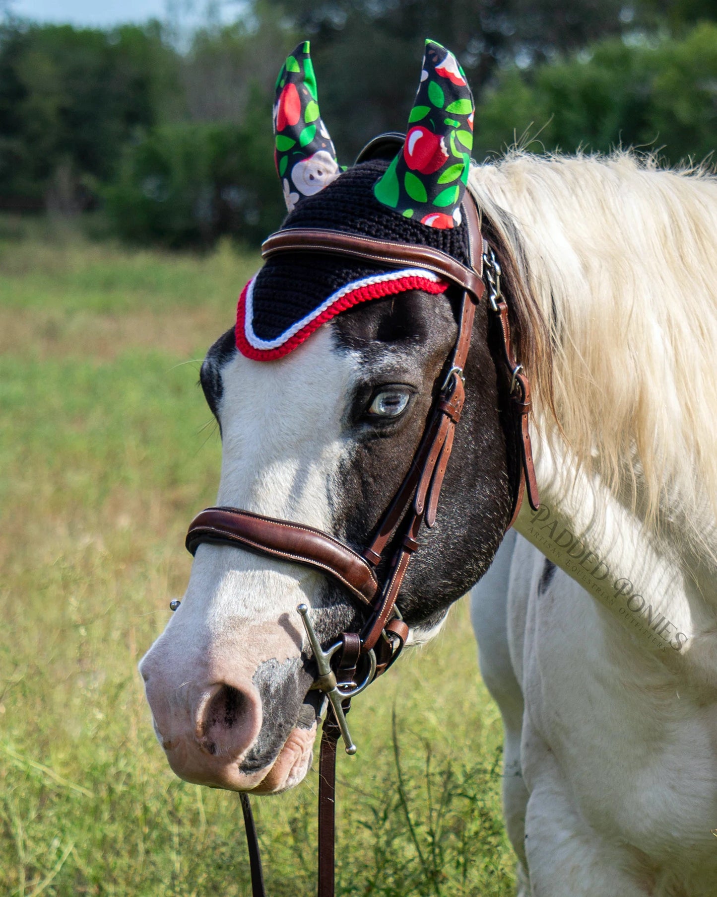 Honeycrisp Apple Red and Black Cotton Crochet Fly Veil Bonnet