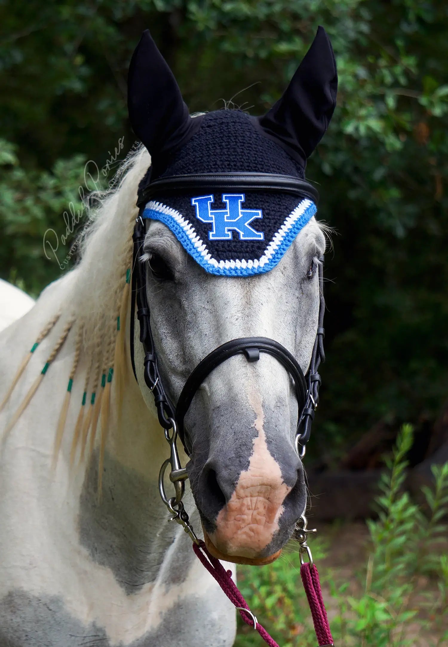 Black and Blue University of Kentucky Patch Fly Veil Bonnet