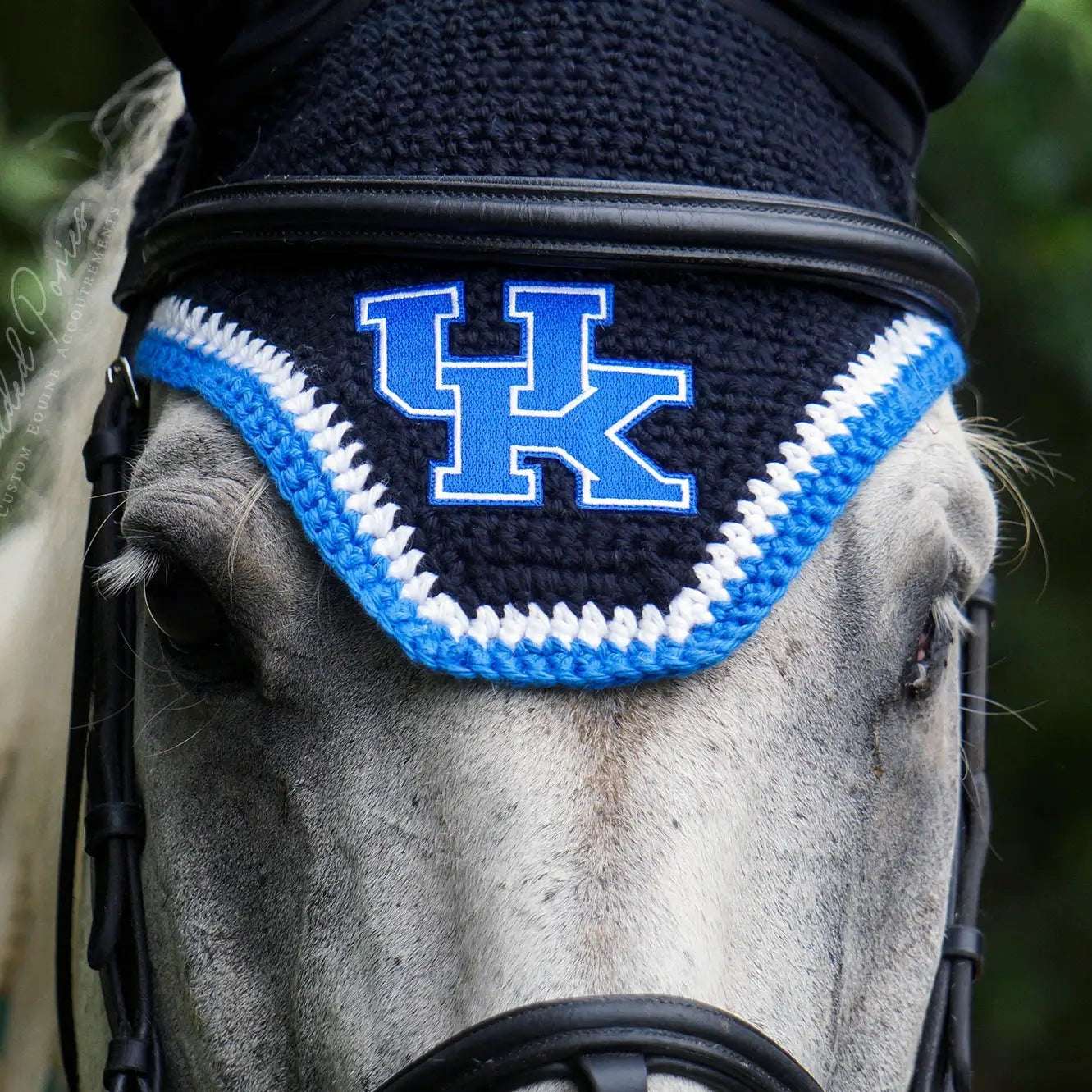 Black and Blue University of Kentucky Fly Veil Bonnet