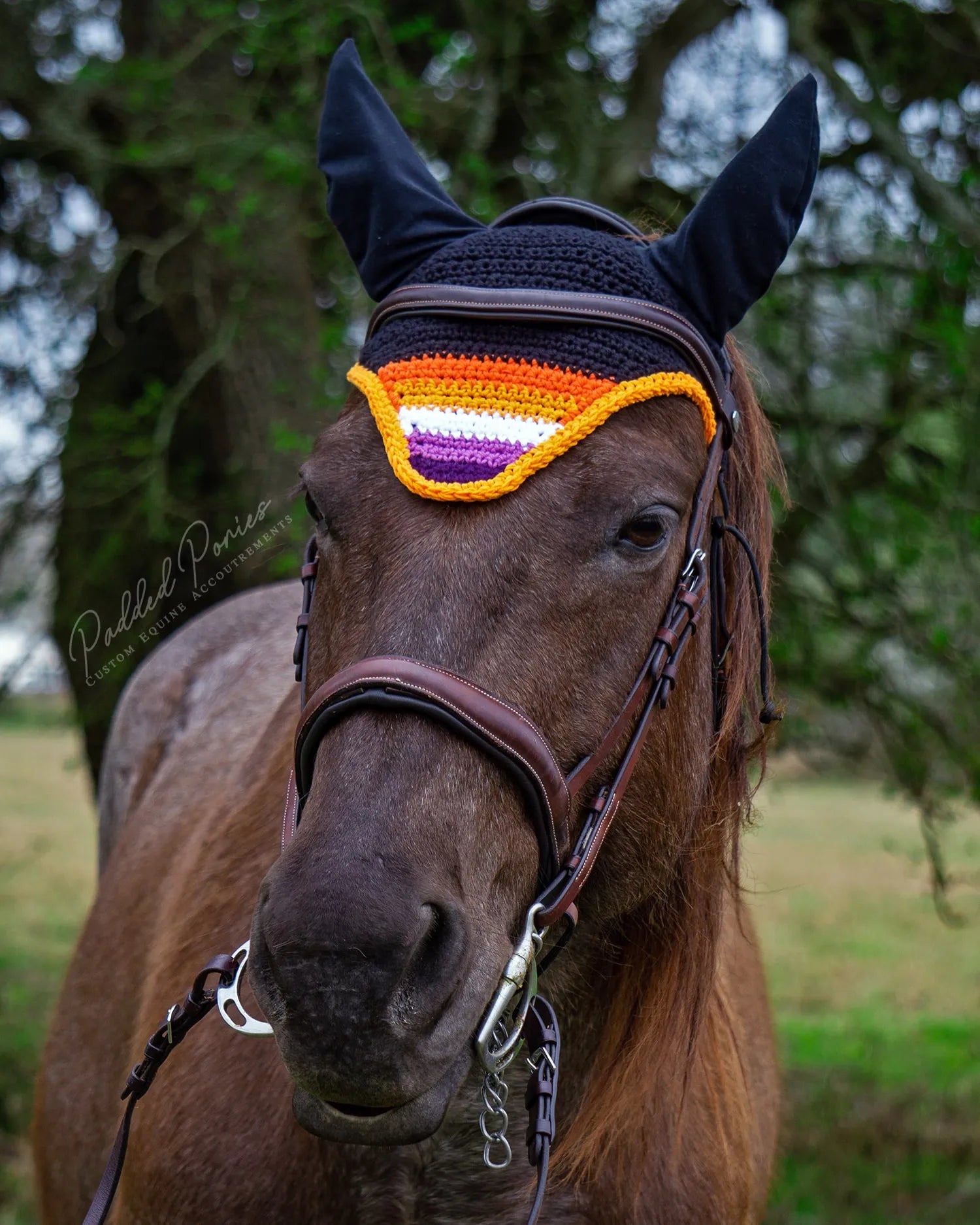 LGBTQ+ Gay Lesbian Flag Tip Fly Veil Bonnet