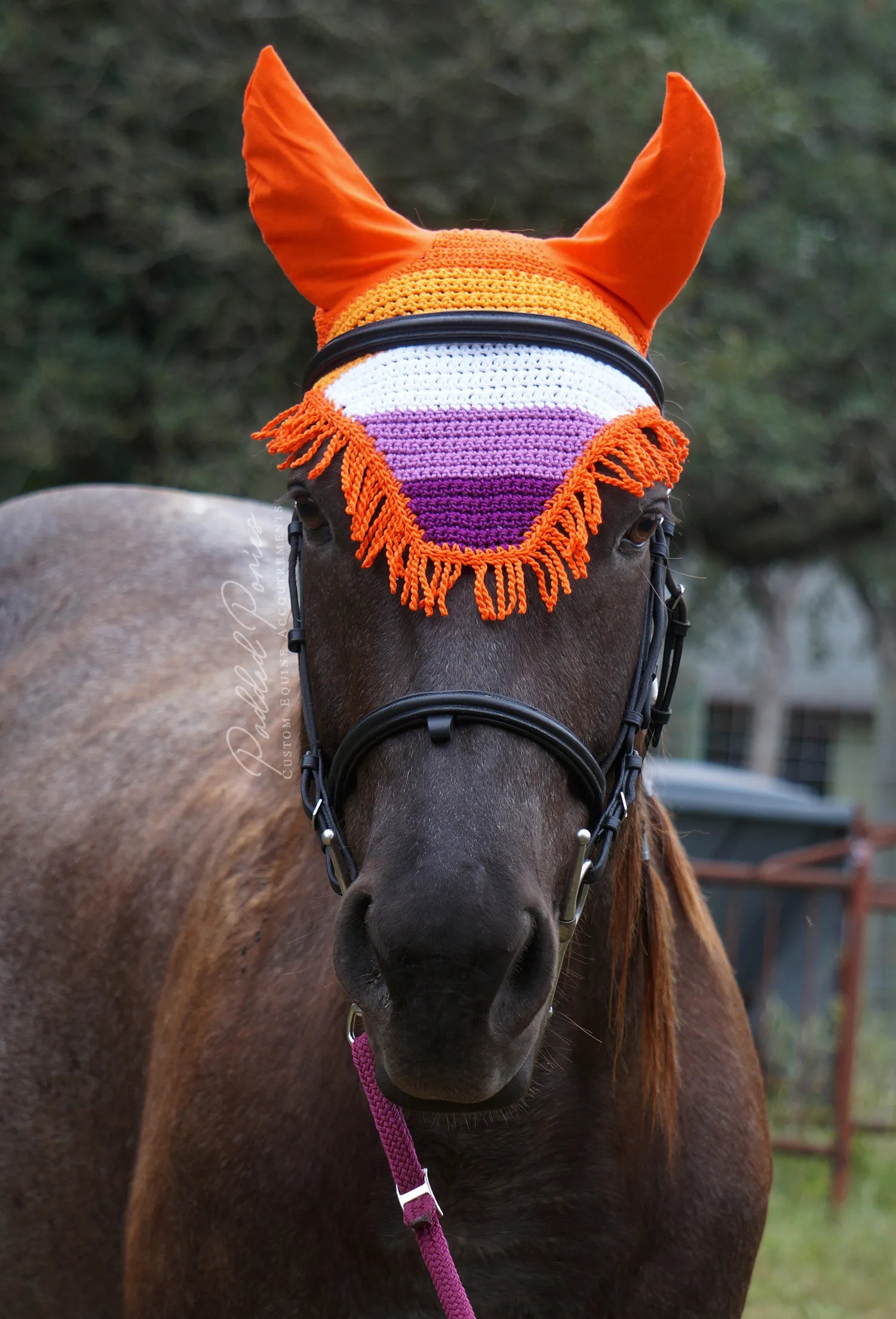 LGBTQ+ Gay Lesbian Flag Fring Fly Veil Bonnet