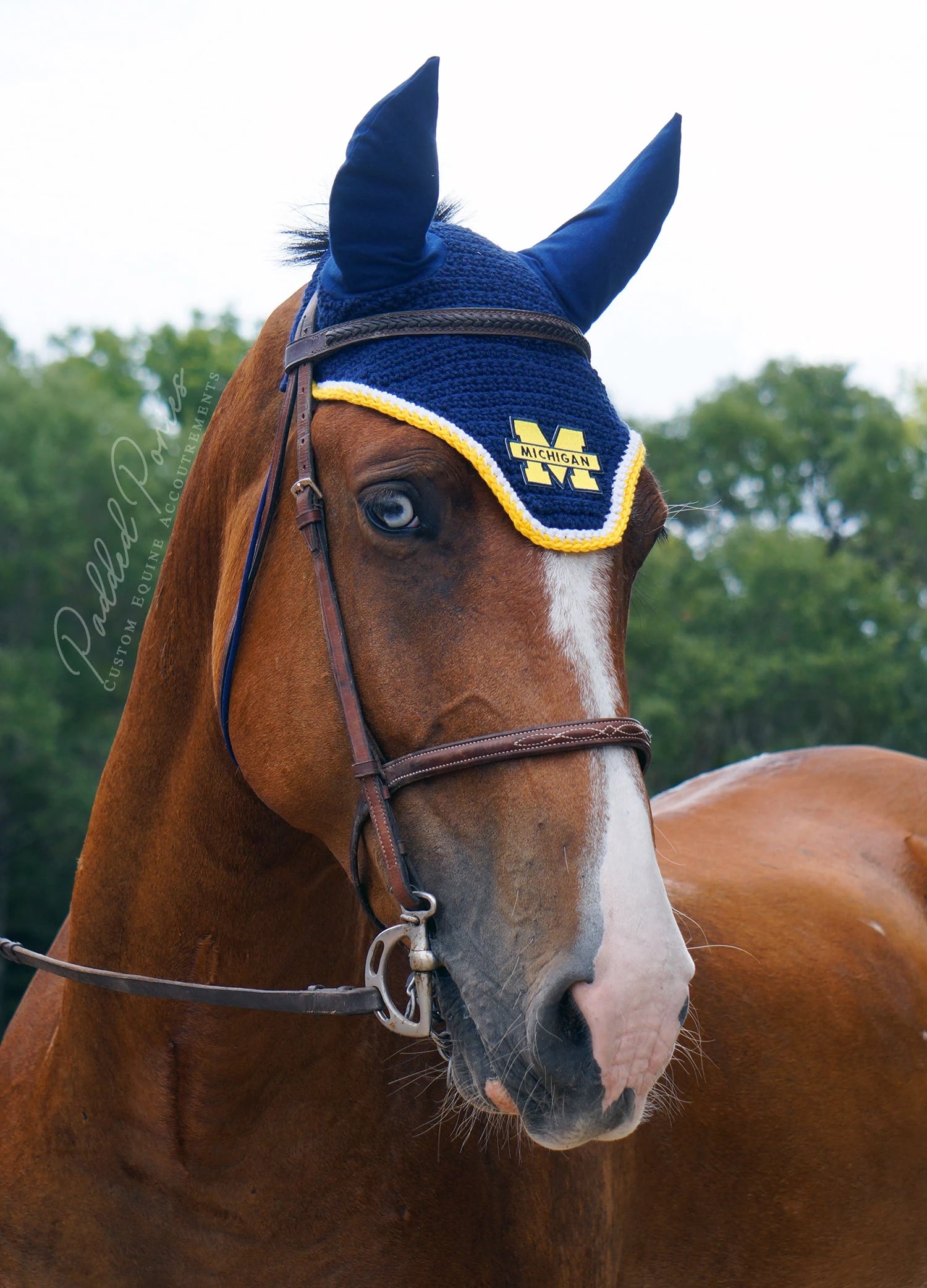 Navy Blue and Yellow University of Michigan Patch Fly Veil Bonnet