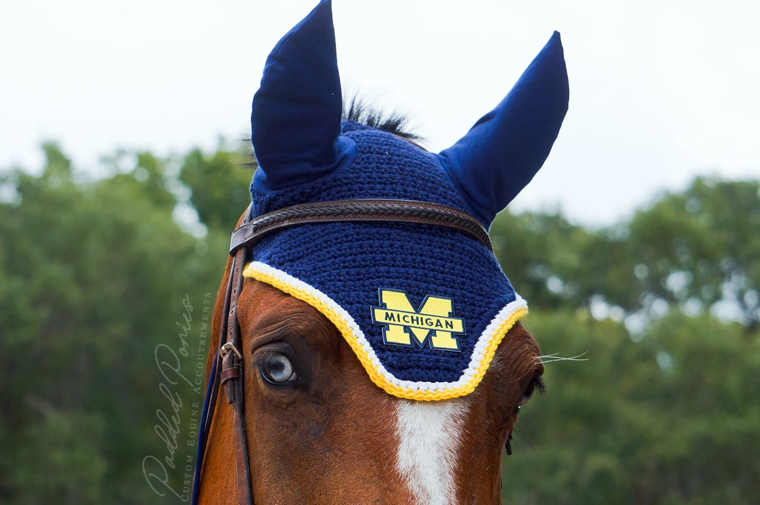 Navy Blue and Yellow University of Michigan Patch Fly Veil Bonnet