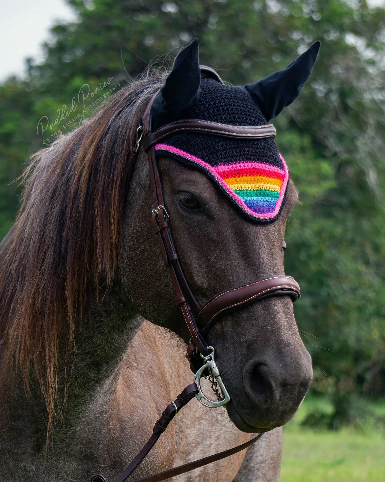 LGBTQ+ Pink Rainbow Flag Tip Black Horse Fly Veil Bonnet with Rhinestones