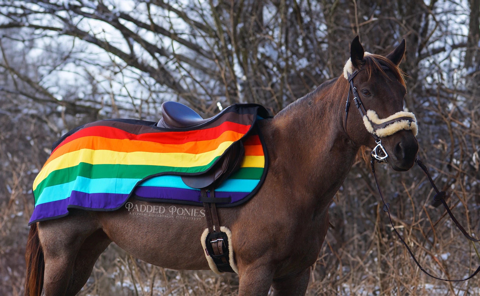 LGBTQ+ People of Color Inclusive Gay Rainbow Flag Quarter Sheet With Matching Saddle Pad