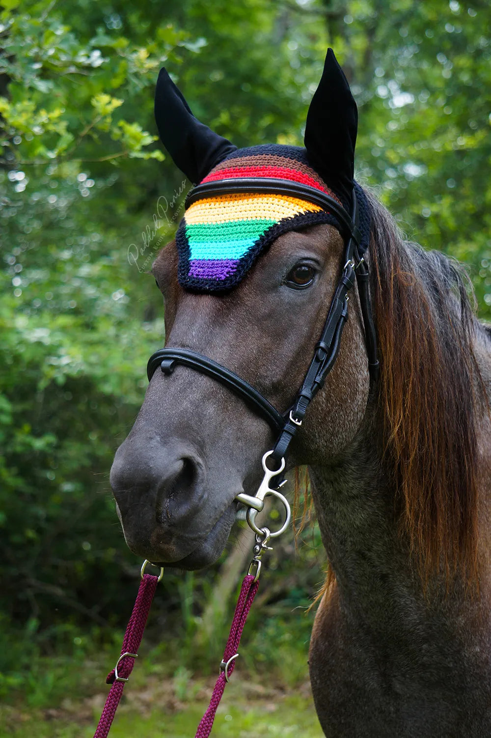 LGBTQ+ People of Color Inclusive Gay Rainbow Flag Fly Veil Bonnet