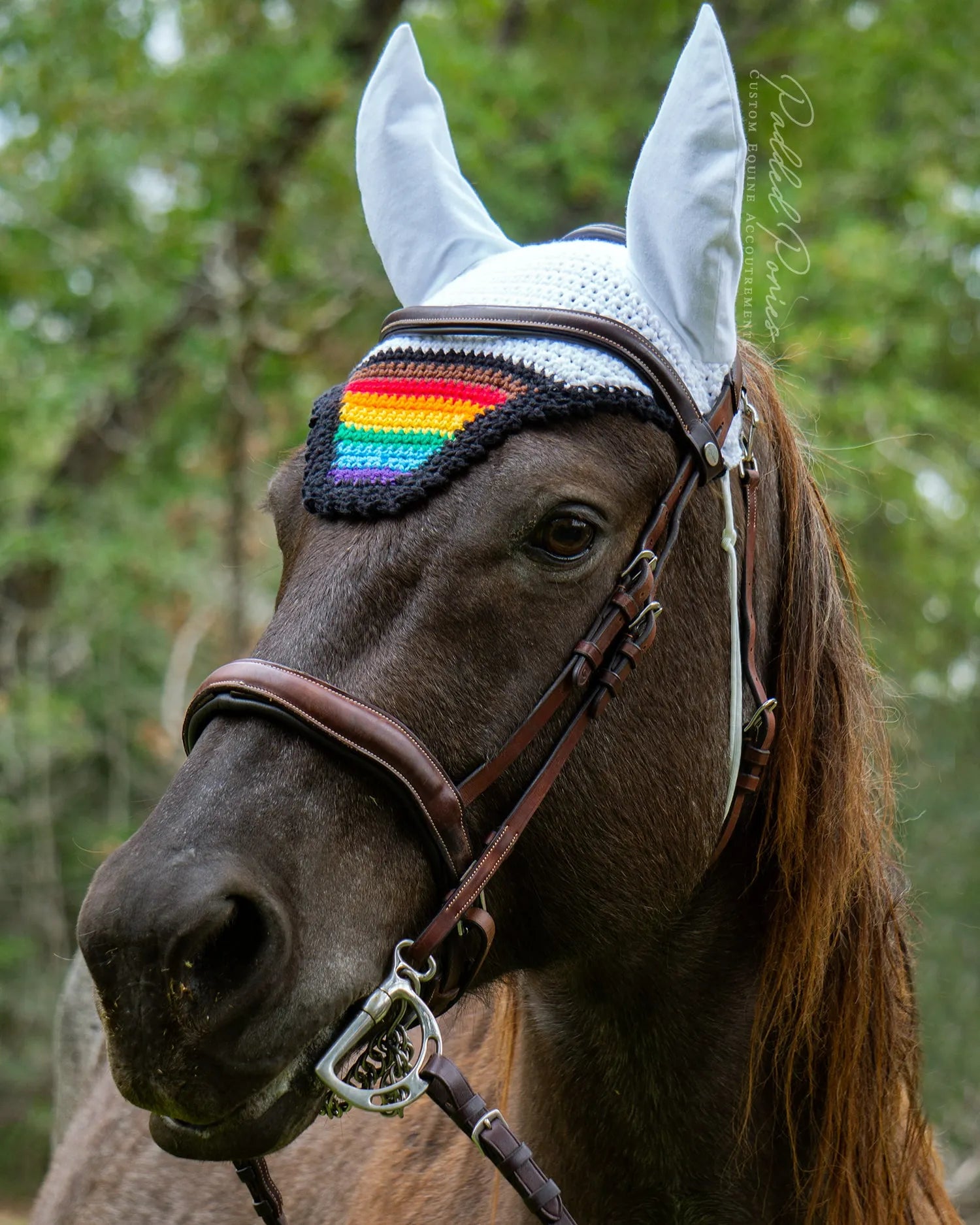 LGBTQ+ People of Color Inclusive Rainbow Flag Tip White Horse Fly Veil Bonnet