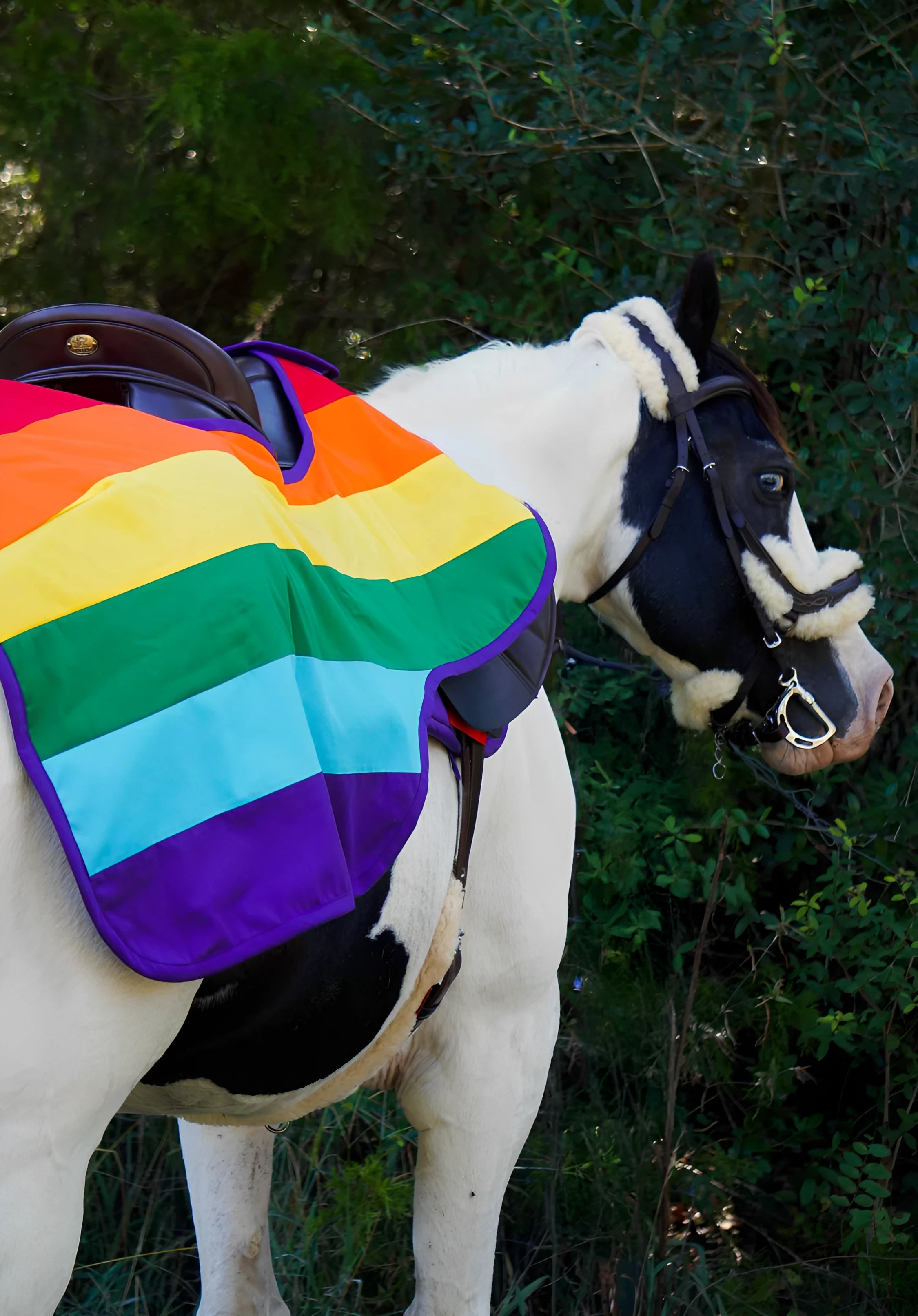 SALE - LGBTQ+ Rainbow Flag Quarter Sheet
