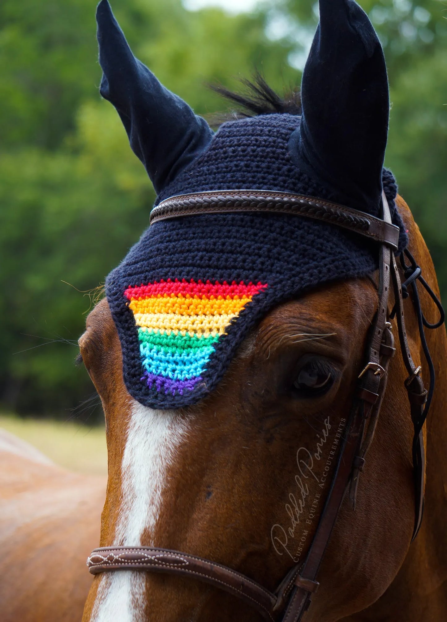 LGBTQ+ Gay Rainbow Flag Tip Black Fly Veil Bonnet