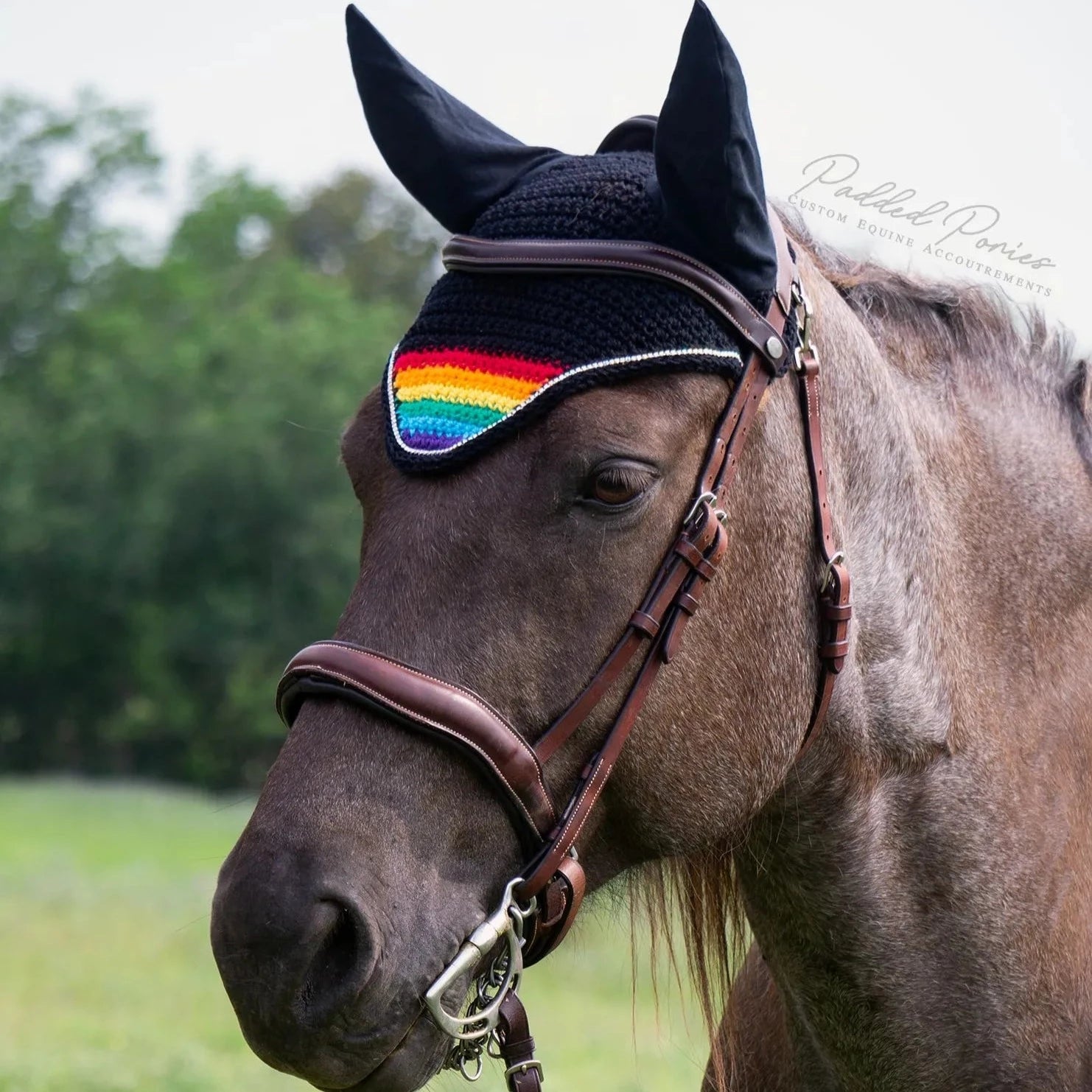 LGBTQ+ Rainbow Flag Tip Black Horse Fly Veil Bonnet with Rhinestones