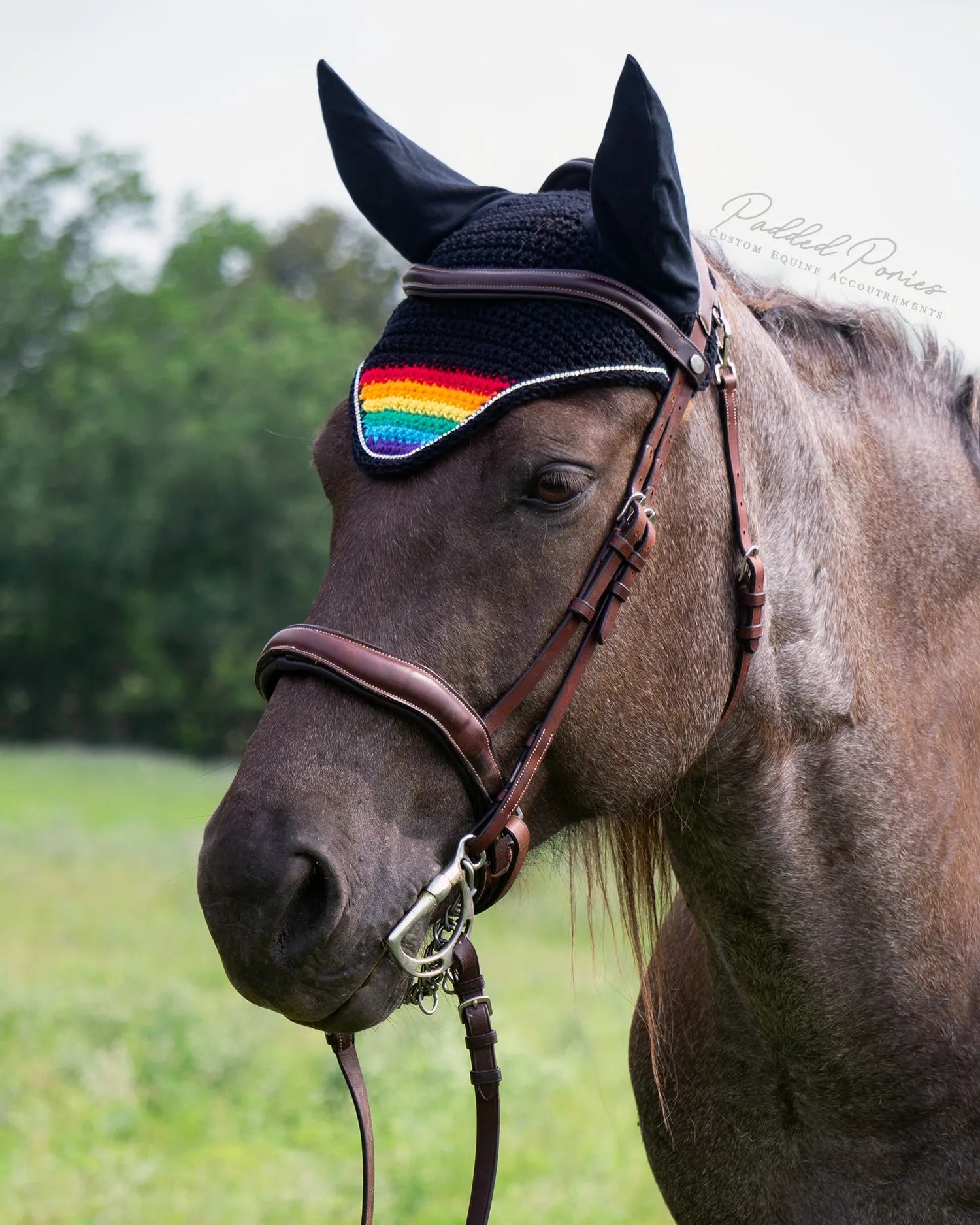 LGBTQ+ Rainbow Flag Tip Black Horse Fly Veil Bonnet with Rhinestones