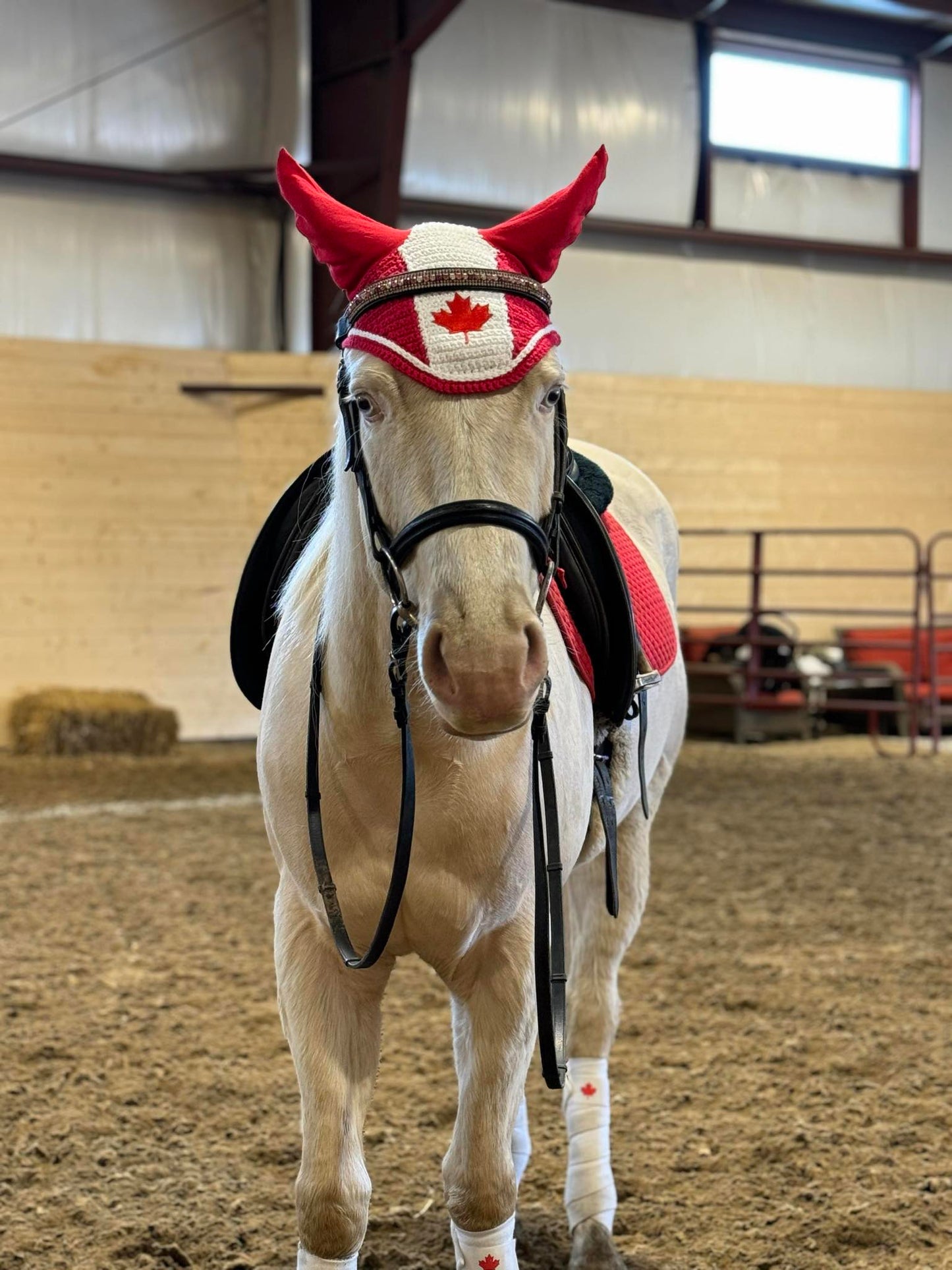 Canadian Flag Fly Bonnet Customer Photo