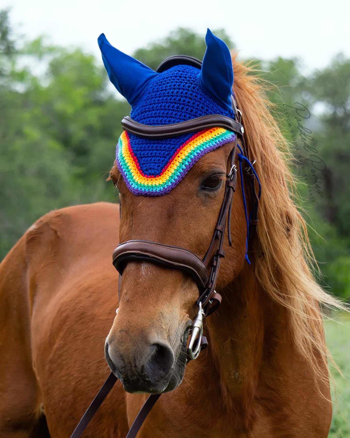 LGBTQ+ Gay Rainbow Flag Trim Royal Blue Fly Veil Bonnet