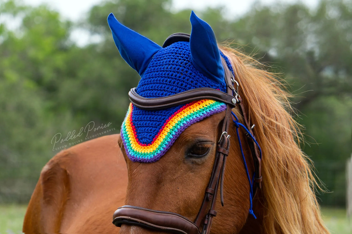 LGBTQ+ Gay Rainbow Flag Trim Royal Blue Fly Veil Bonnet