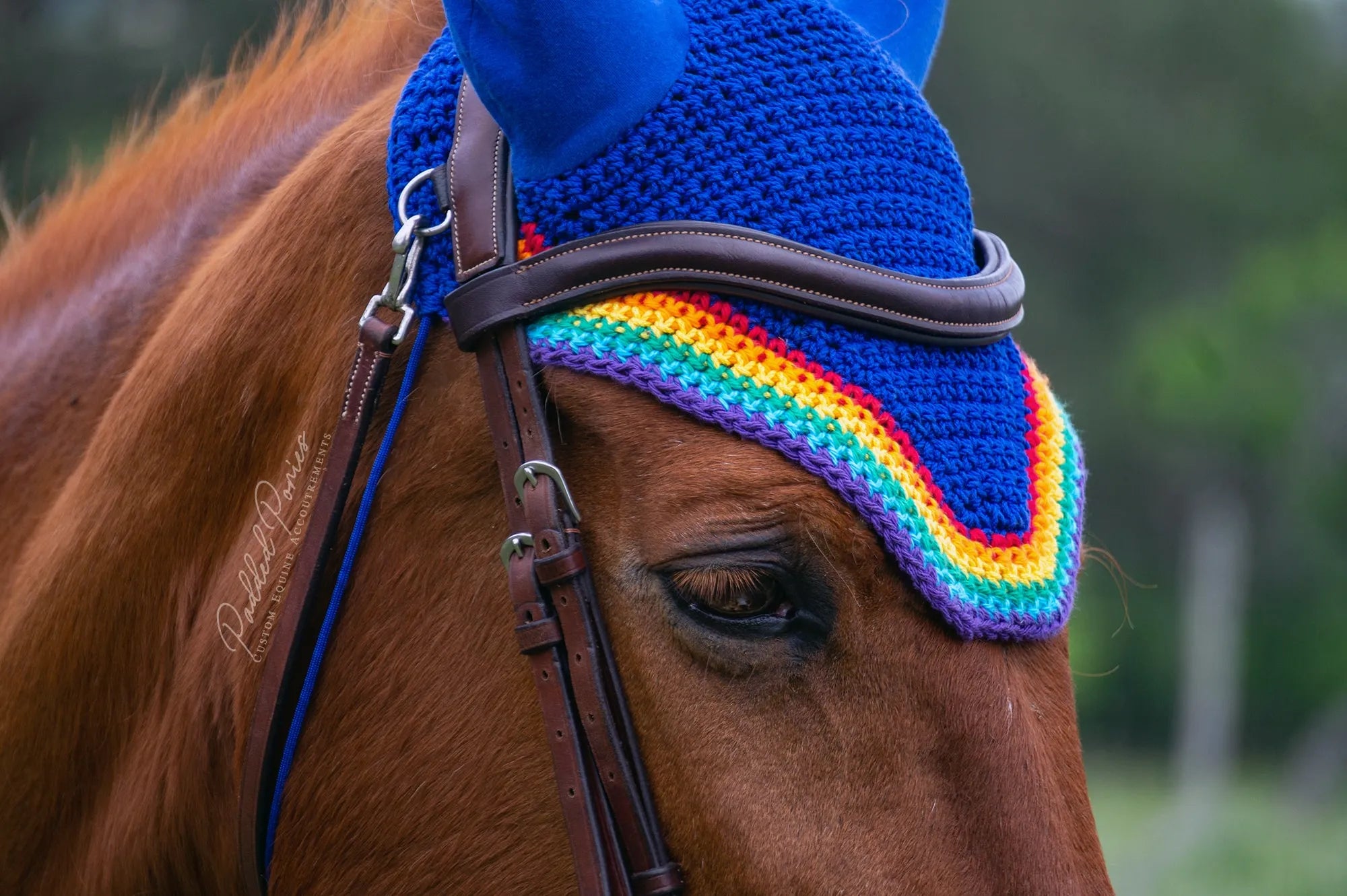 LGBTQ+ Gay Rainbow Flag Trim Royal Blue Fly Veil Bonnet